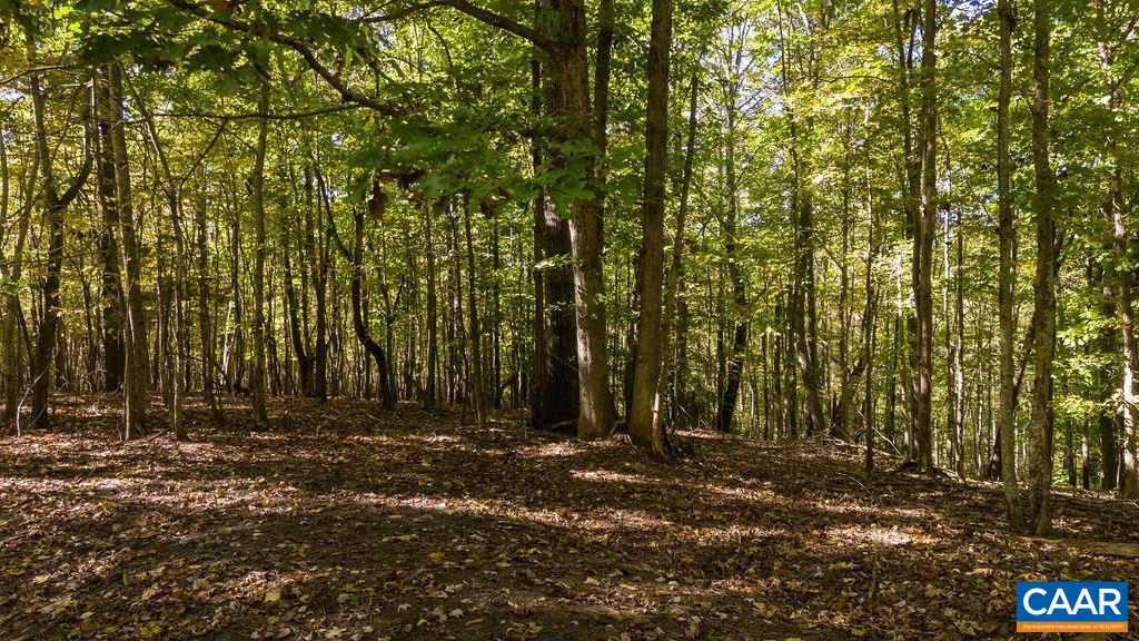 Lot 12 ENNIS MOUNTAIN RD