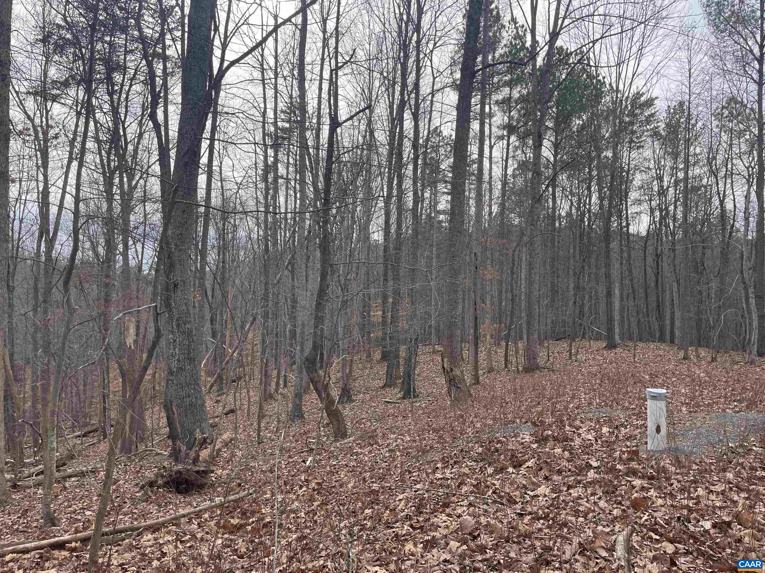 Lot 12 ENNIS MOUNTAIN RD