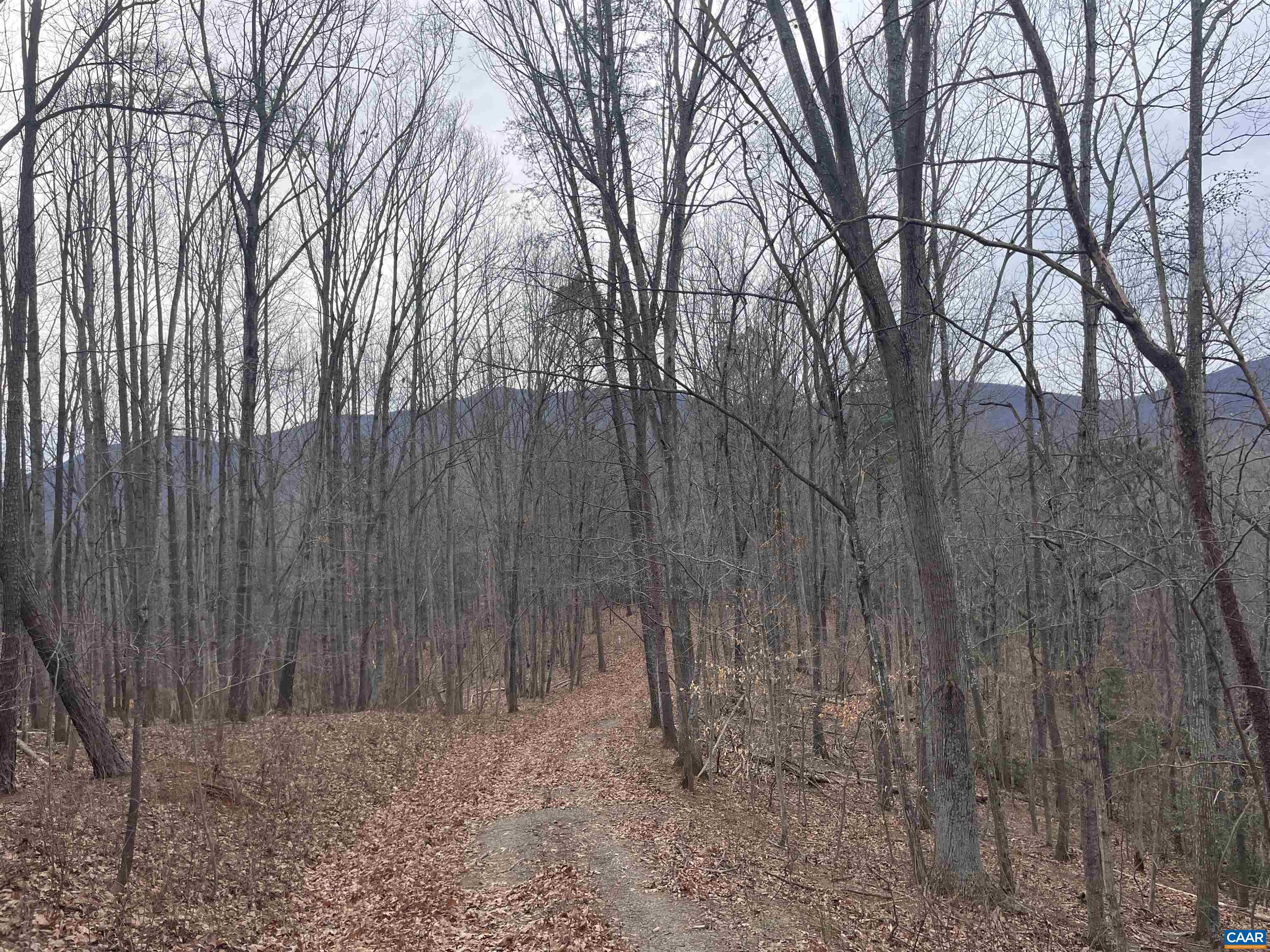 Lot 12 ENNIS MOUNTAIN RD
