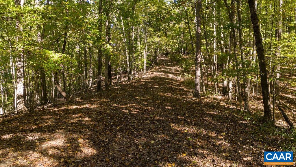 Lot 12 ENNIS MOUNTAIN RD