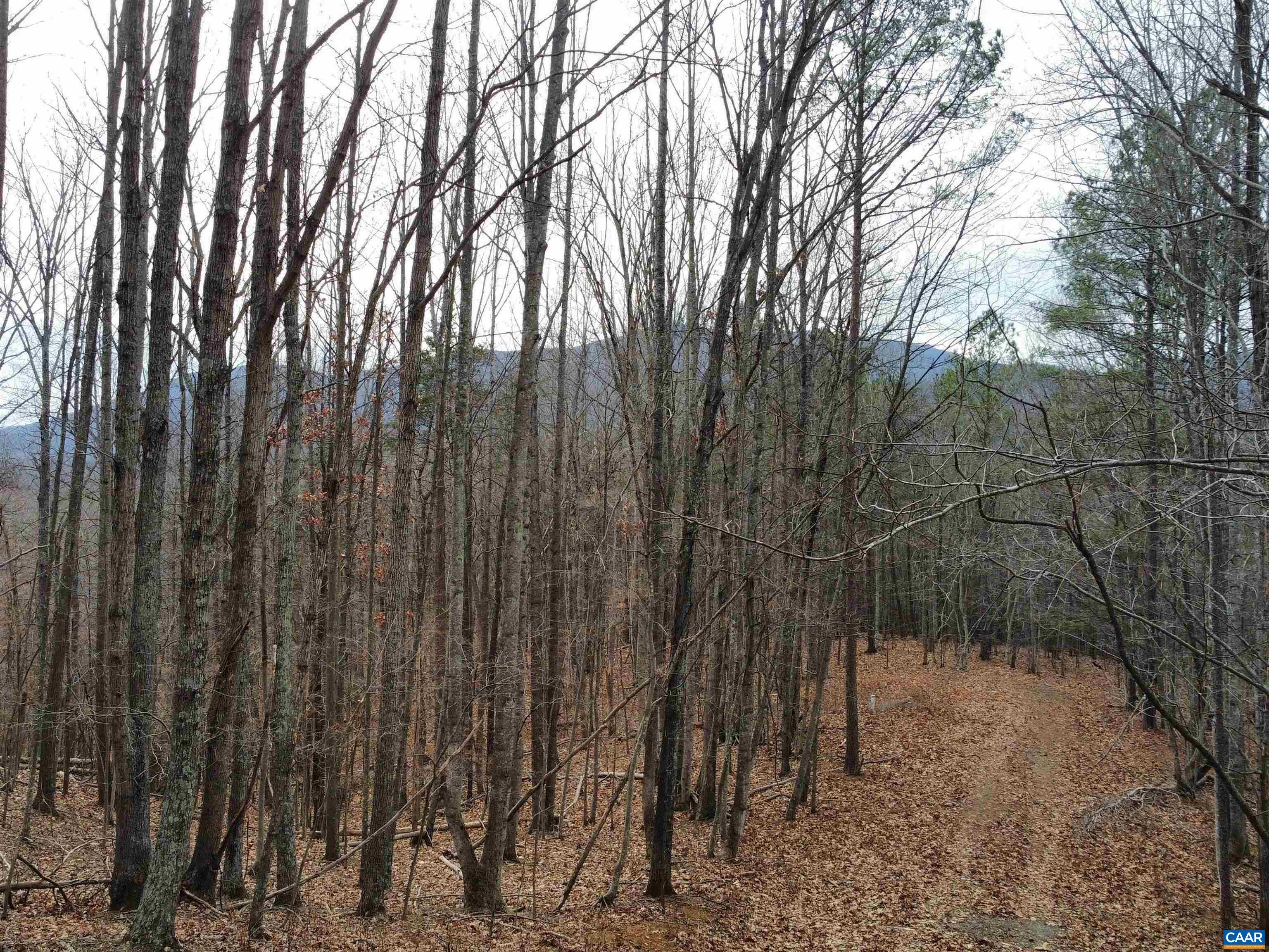 Lot 12 ENNIS MOUNTAIN RD