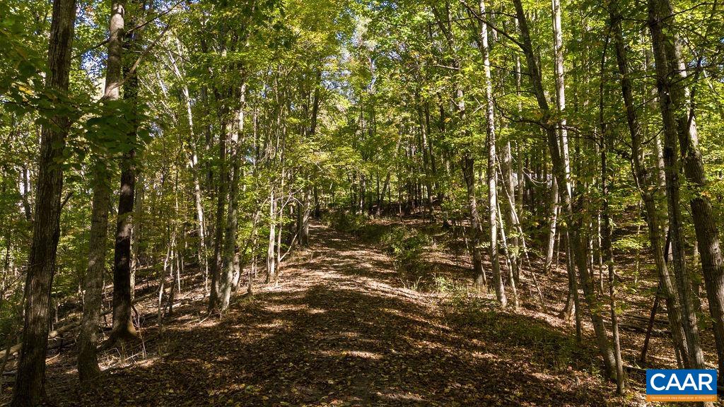Lot 12 ENNIS MOUNTAIN RD