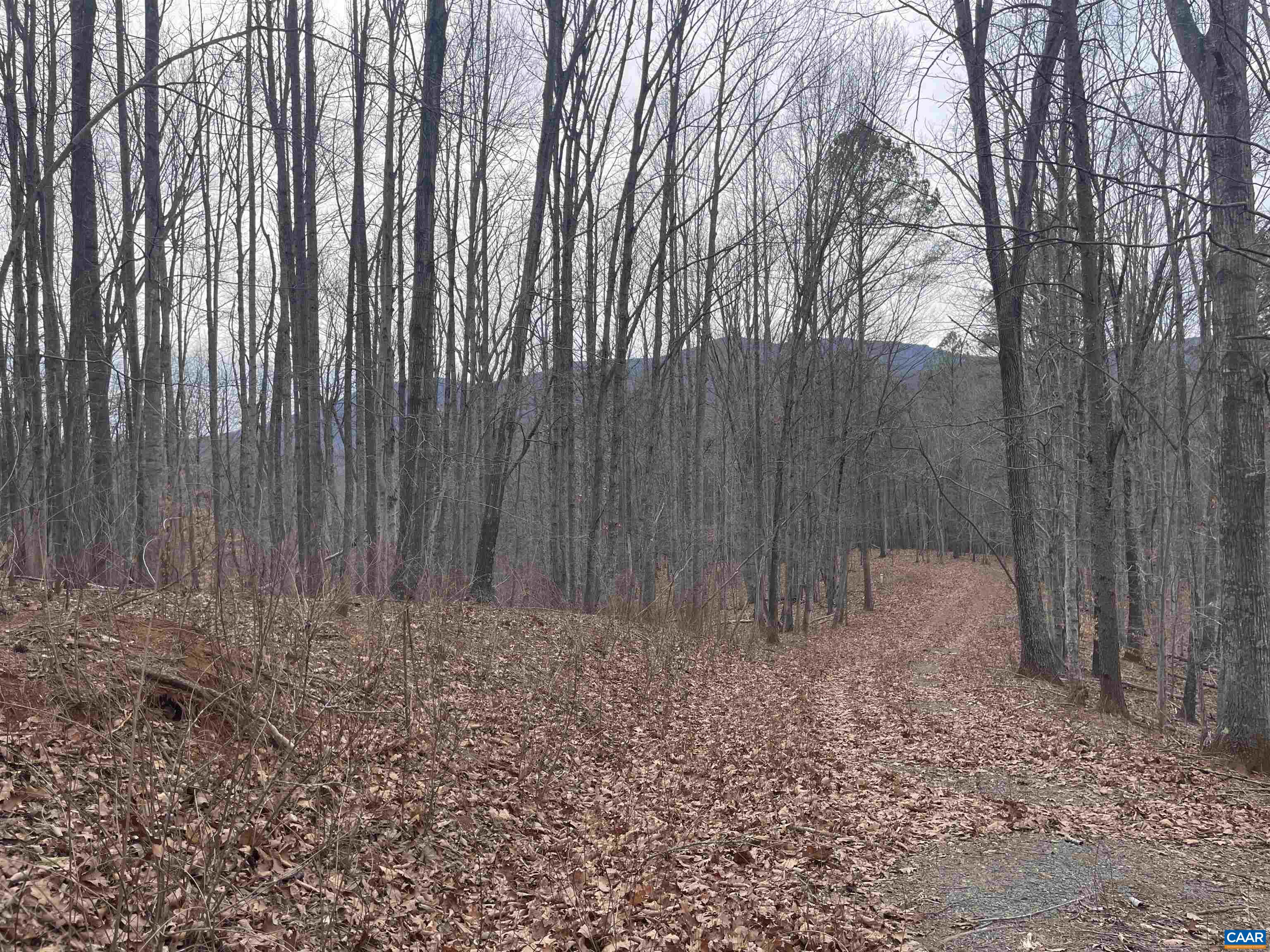 Lot 12 ENNIS MOUNTAIN RD