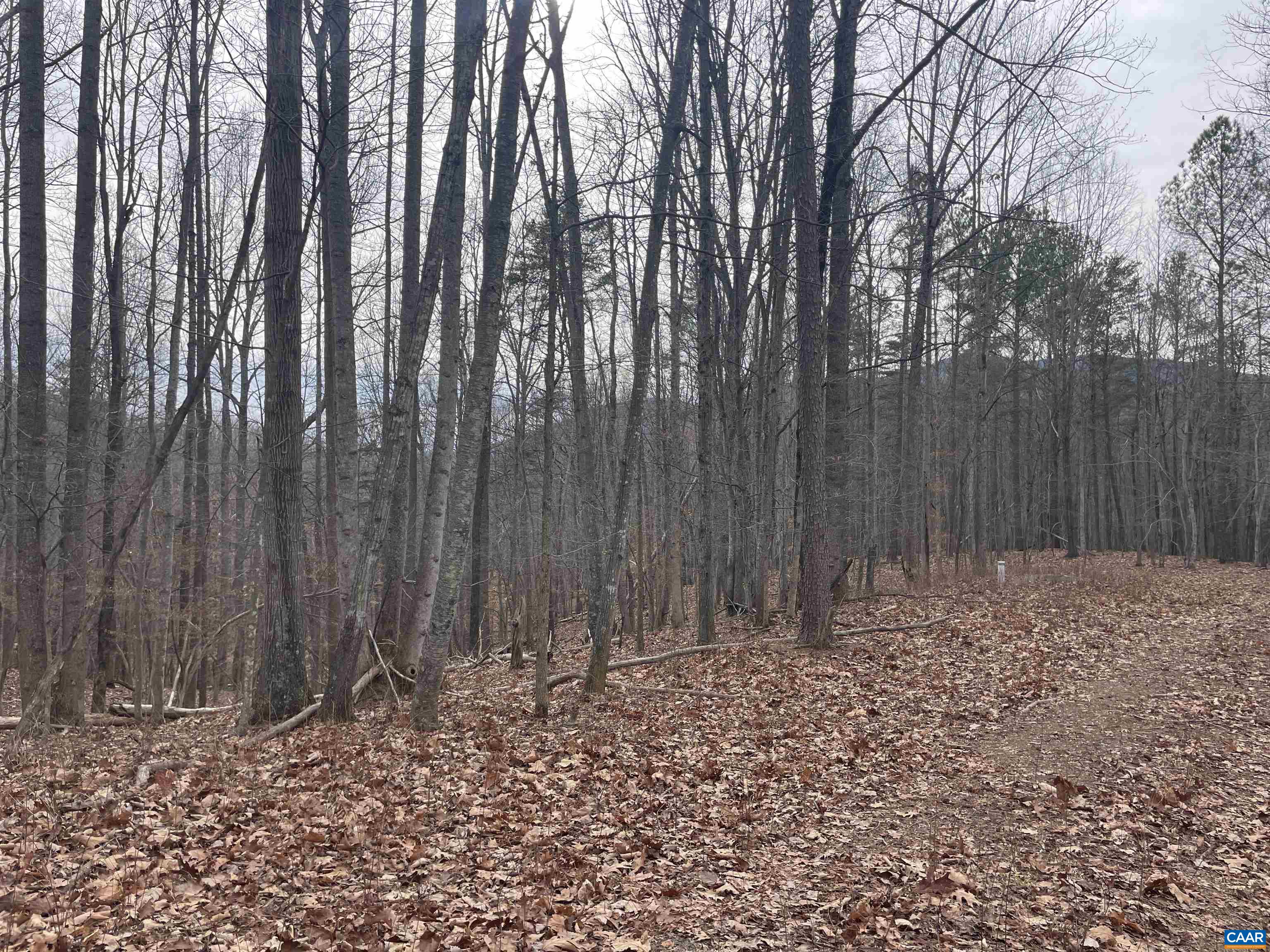 Lot 12 ENNIS MOUNTAIN RD
