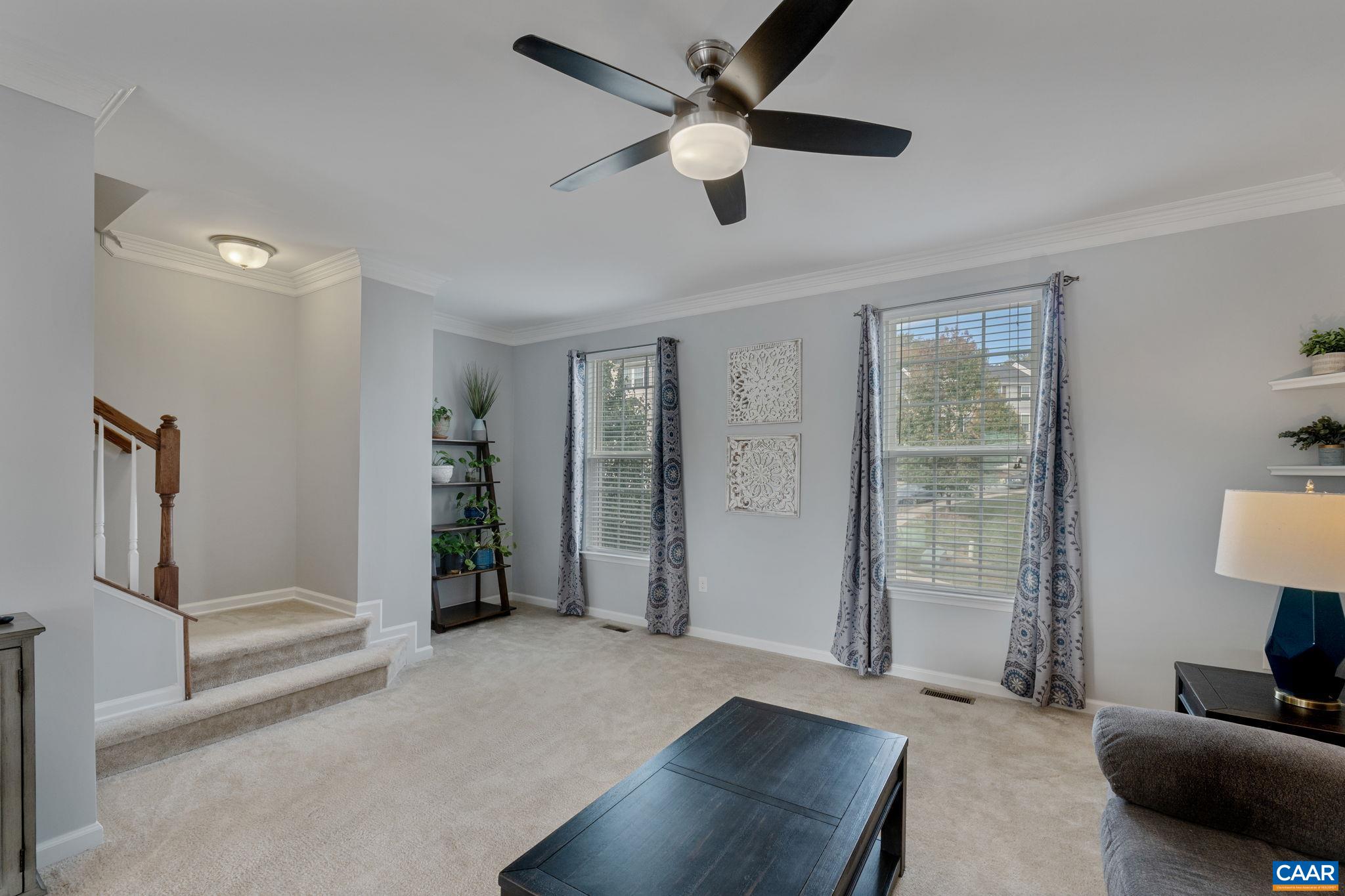 2017 ELM TREE CT