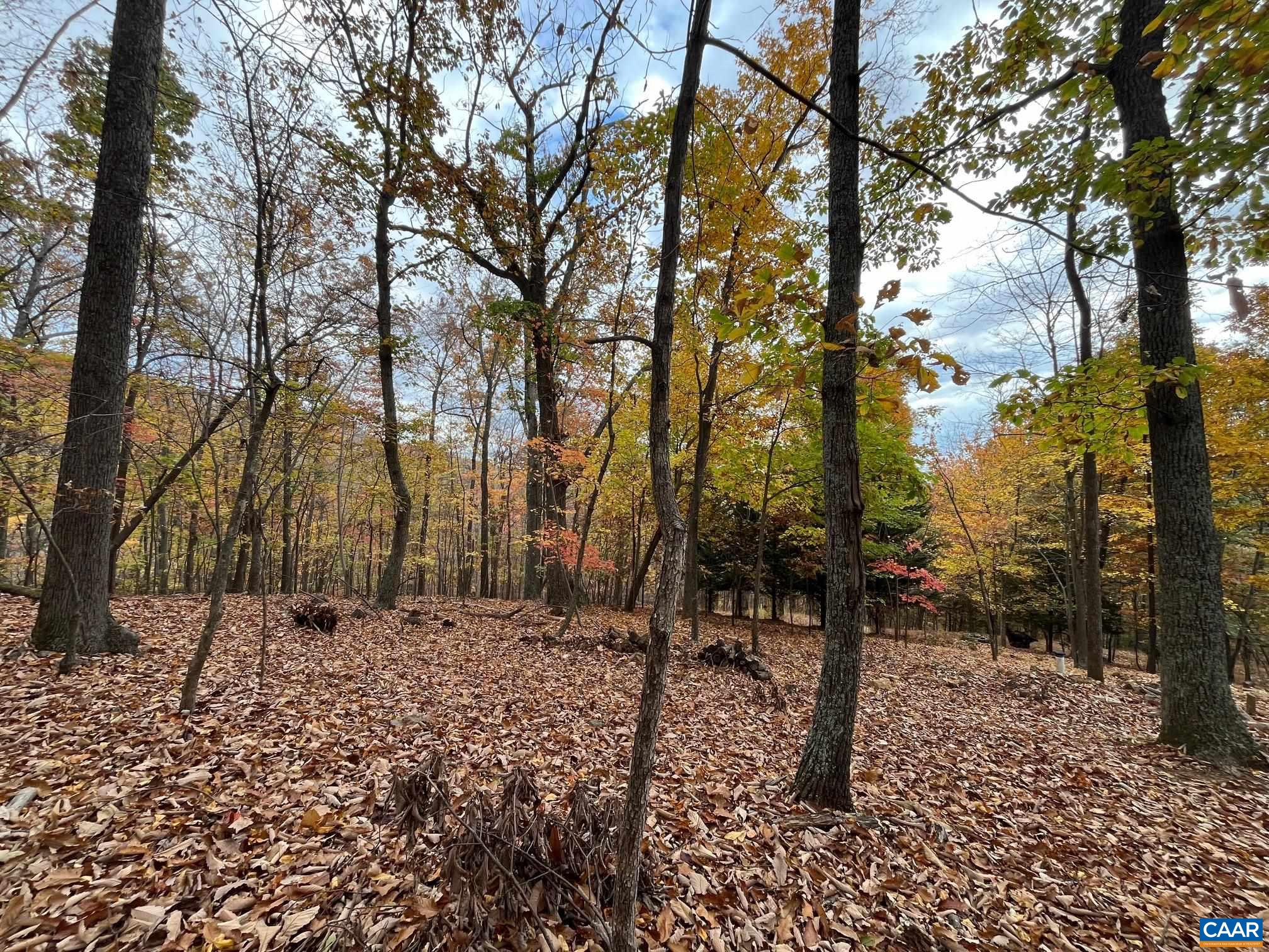 TREE HOUSE PL Unit: 43