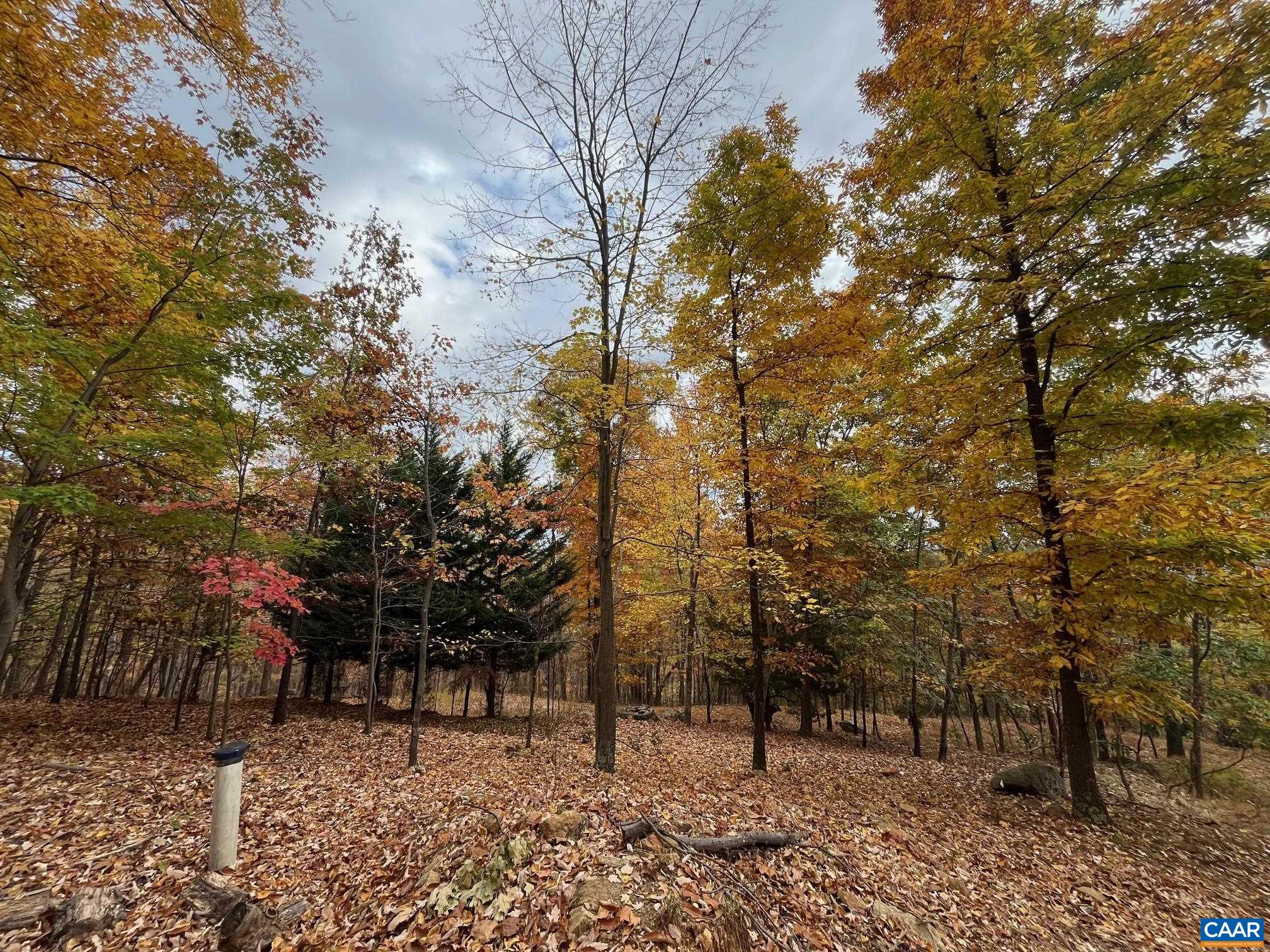 TREE HOUSE PL Unit: 43