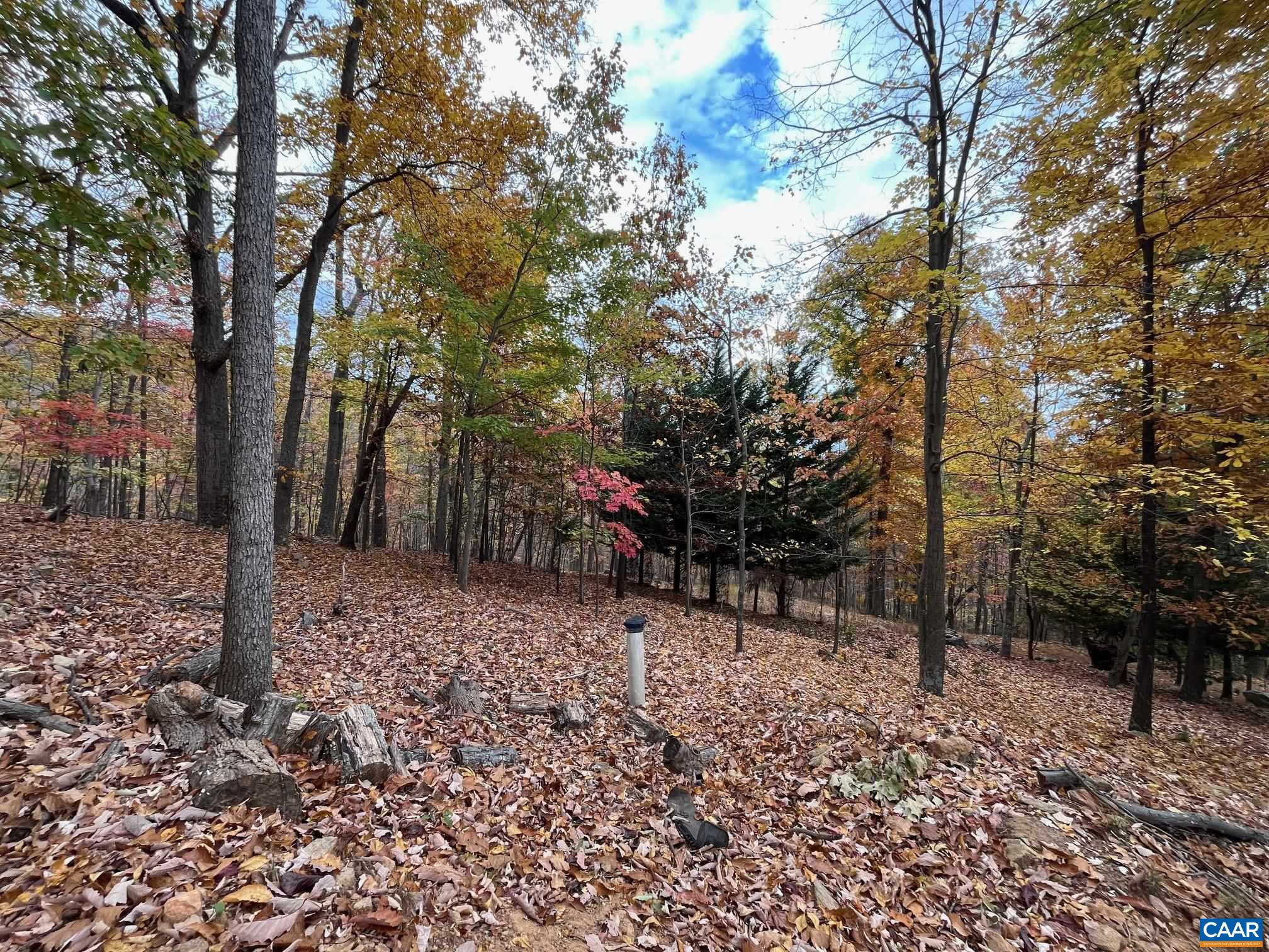 TREE HOUSE PL Unit: 43