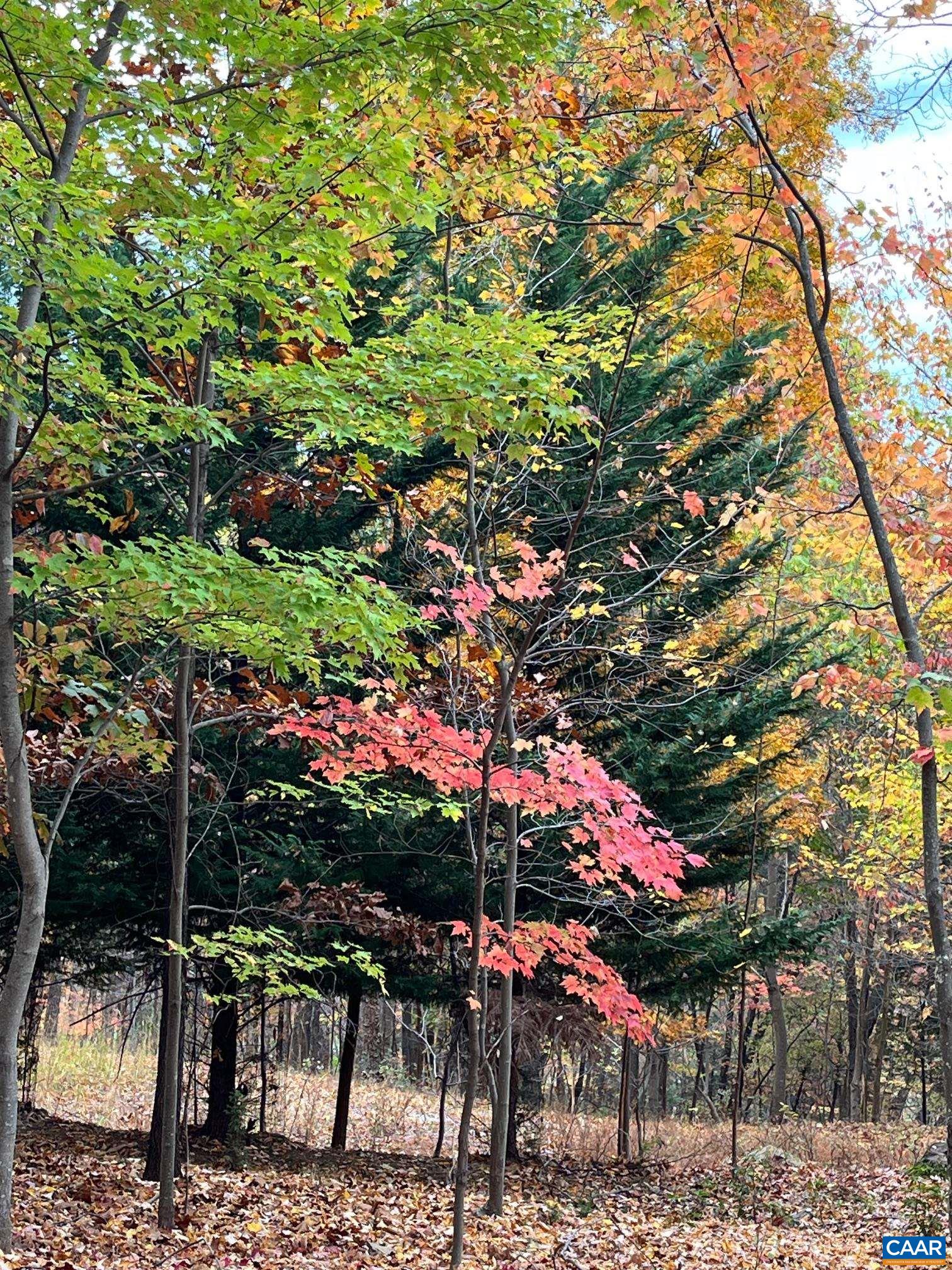 TREE HOUSE PL Unit: 43