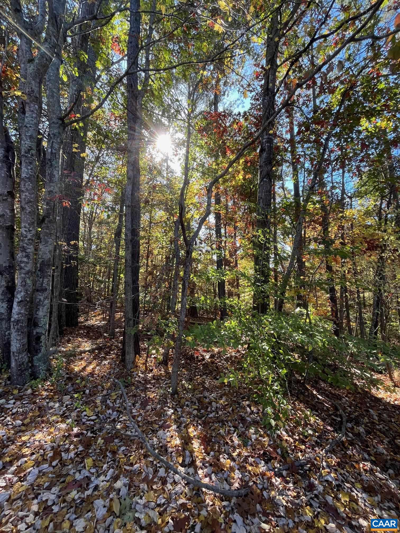 1235 VARIETY MILL RD
