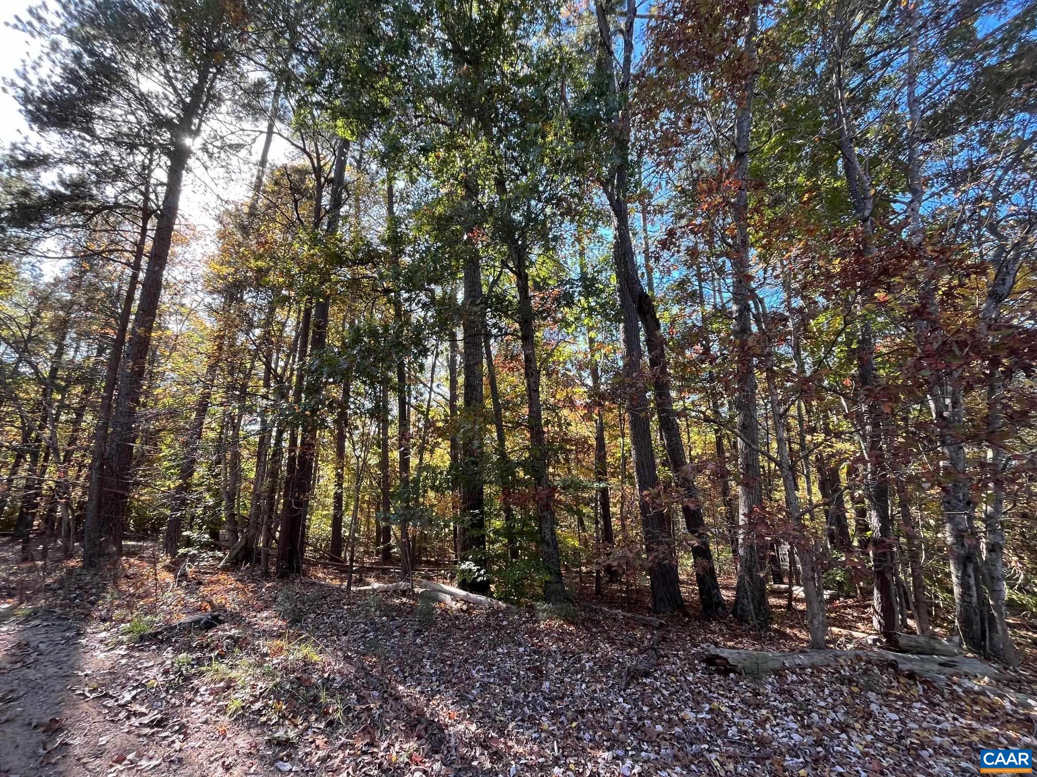 1235 VARIETY MILL RD