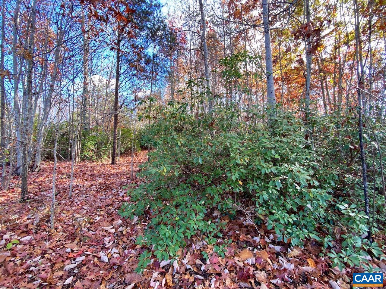 MOUNTAIN RIDGE LN Unit: 13