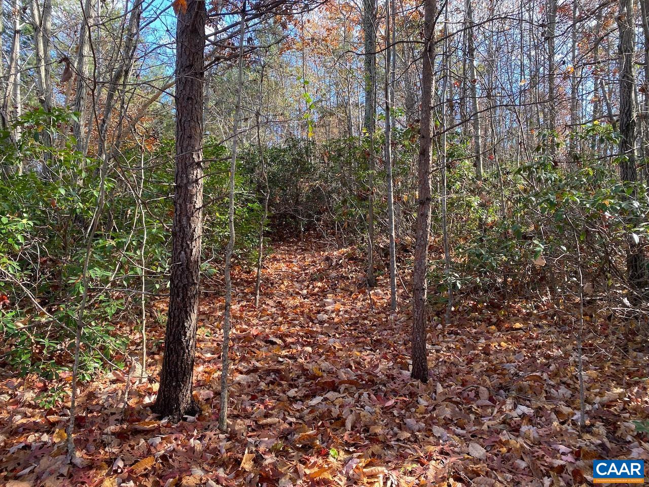 MOUNTAIN RIDGE LN Unit: 13