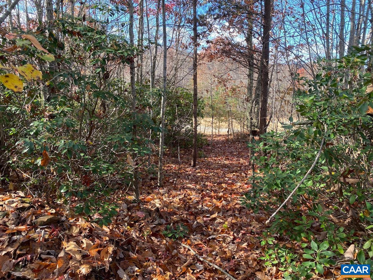 MOUNTAIN RIDGE LN Unit: 13