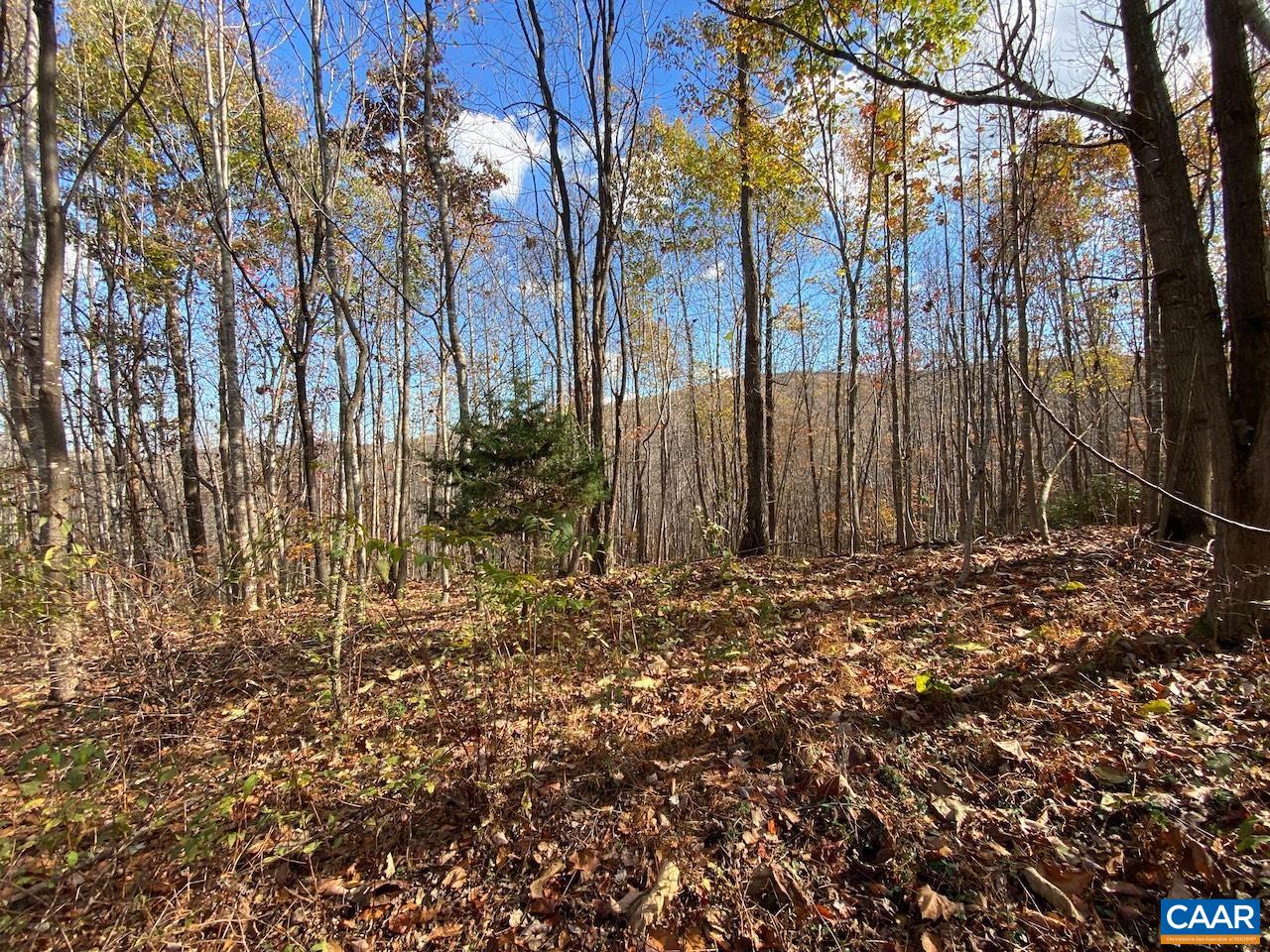 MOUNTAIN RIDGE LN Unit: 13