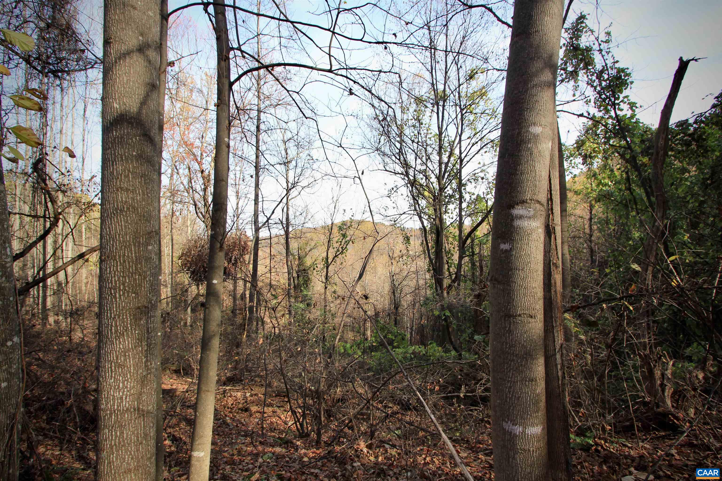 TBD LOCUST HOLLOW RD Unit: 01400 & 014A0