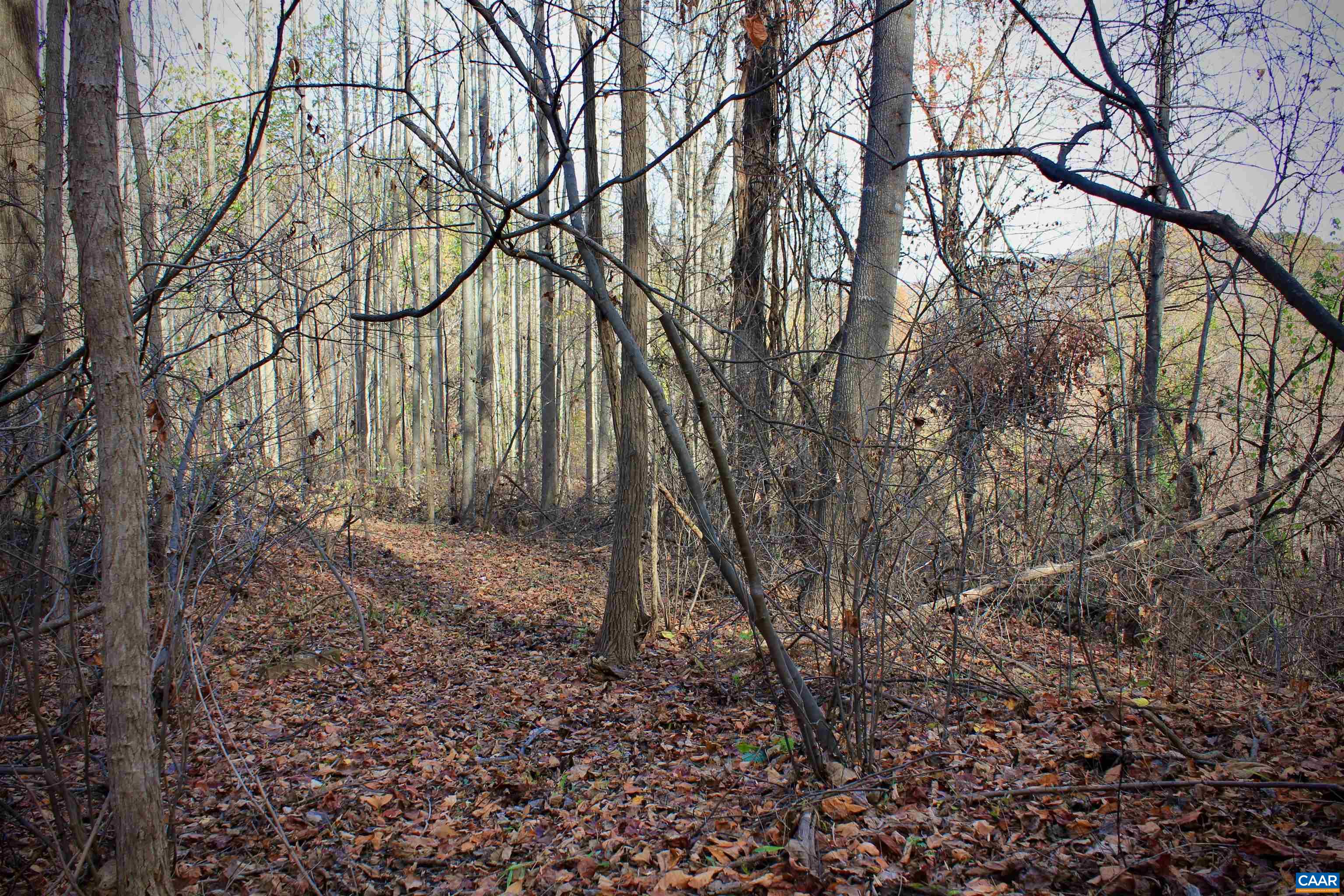 TBD LOCUST HOLLOW RD Unit: 01400 & 014A0