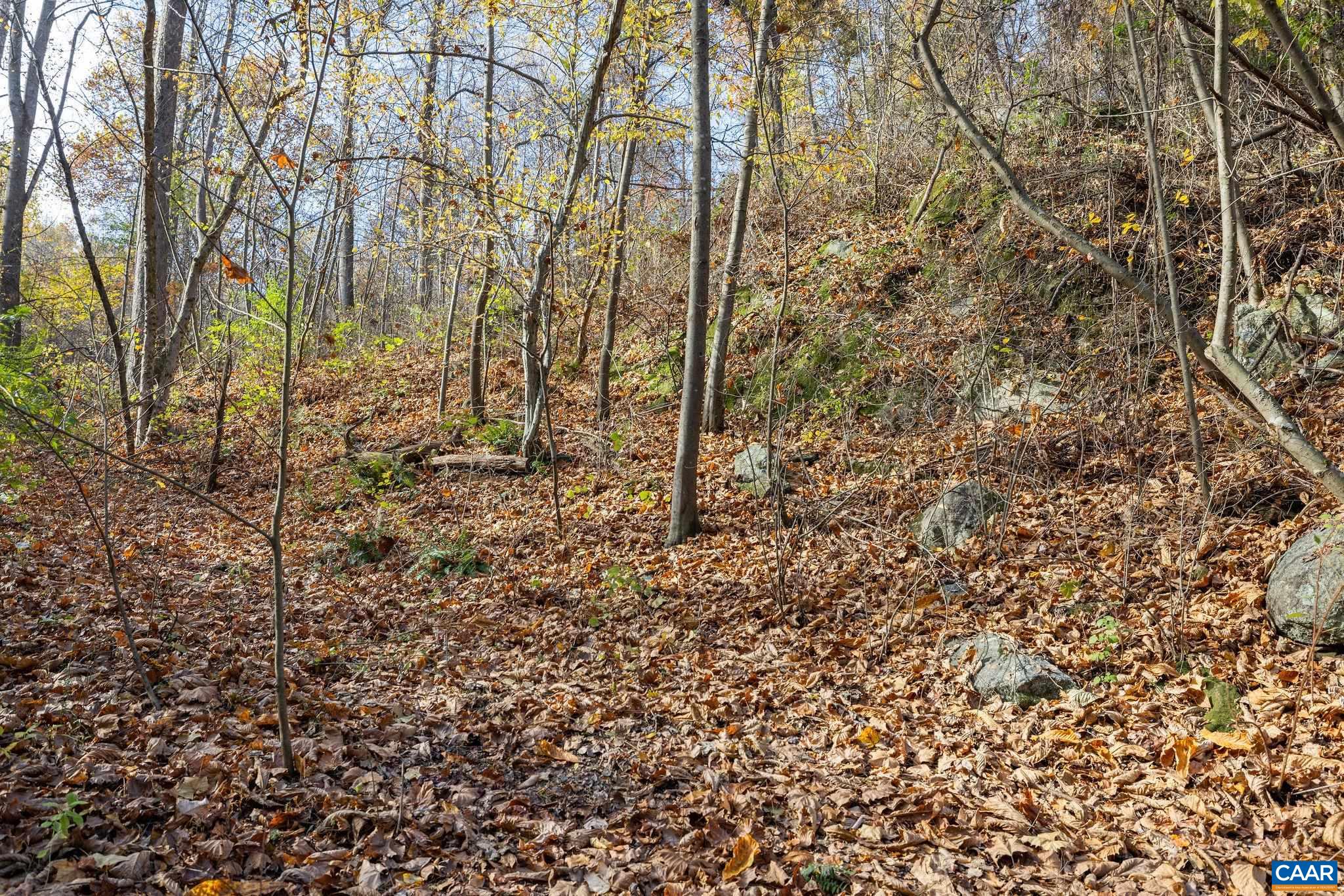 TBD LOCUST HOLLOW RD Unit: 01400 & 014A0