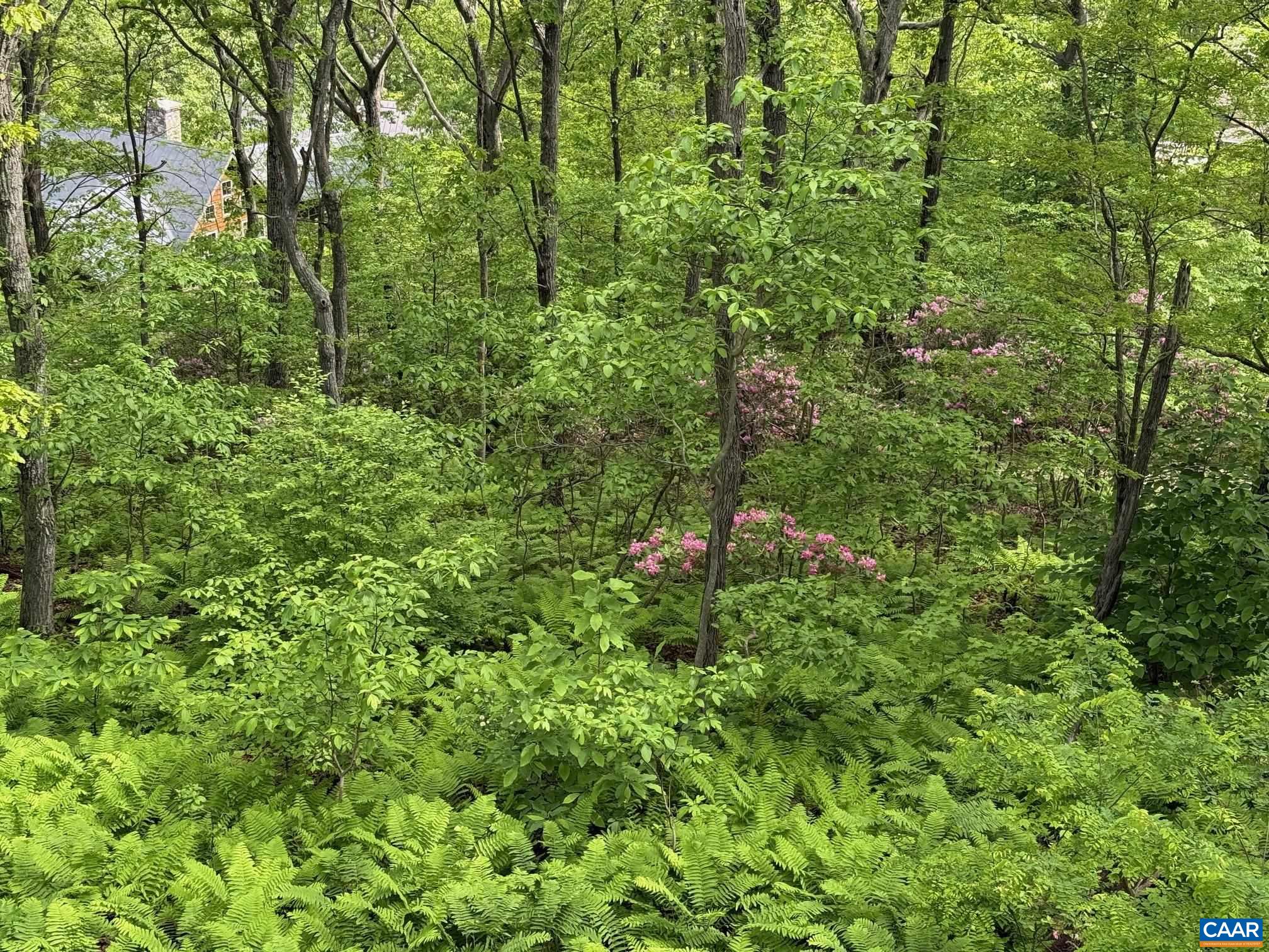 100 NORTH ROCK TREE LN