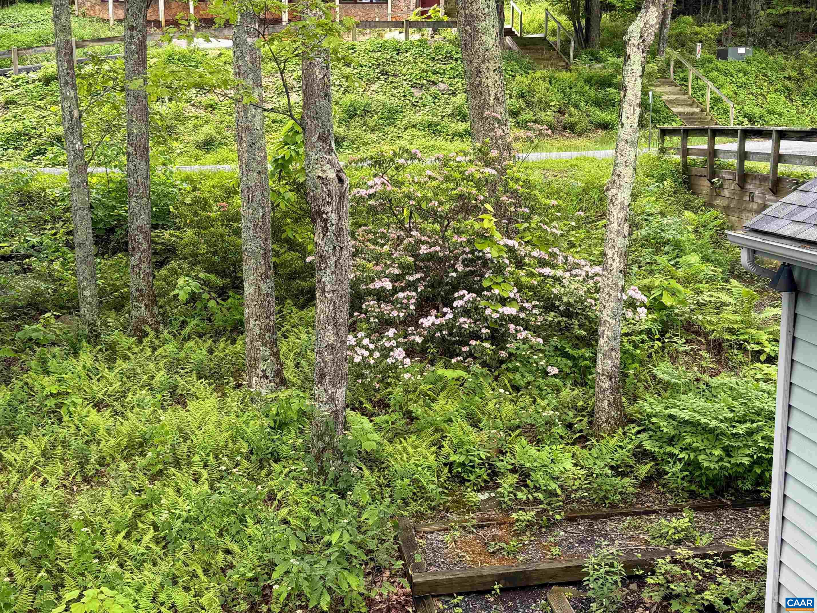 100 NORTH ROCK TREE LN