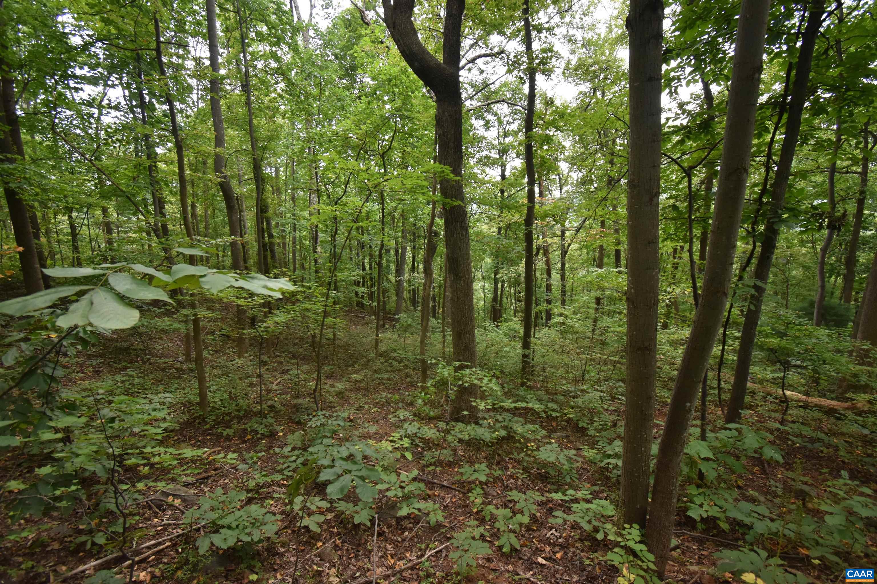 12 OLD MOUNTAIN RD