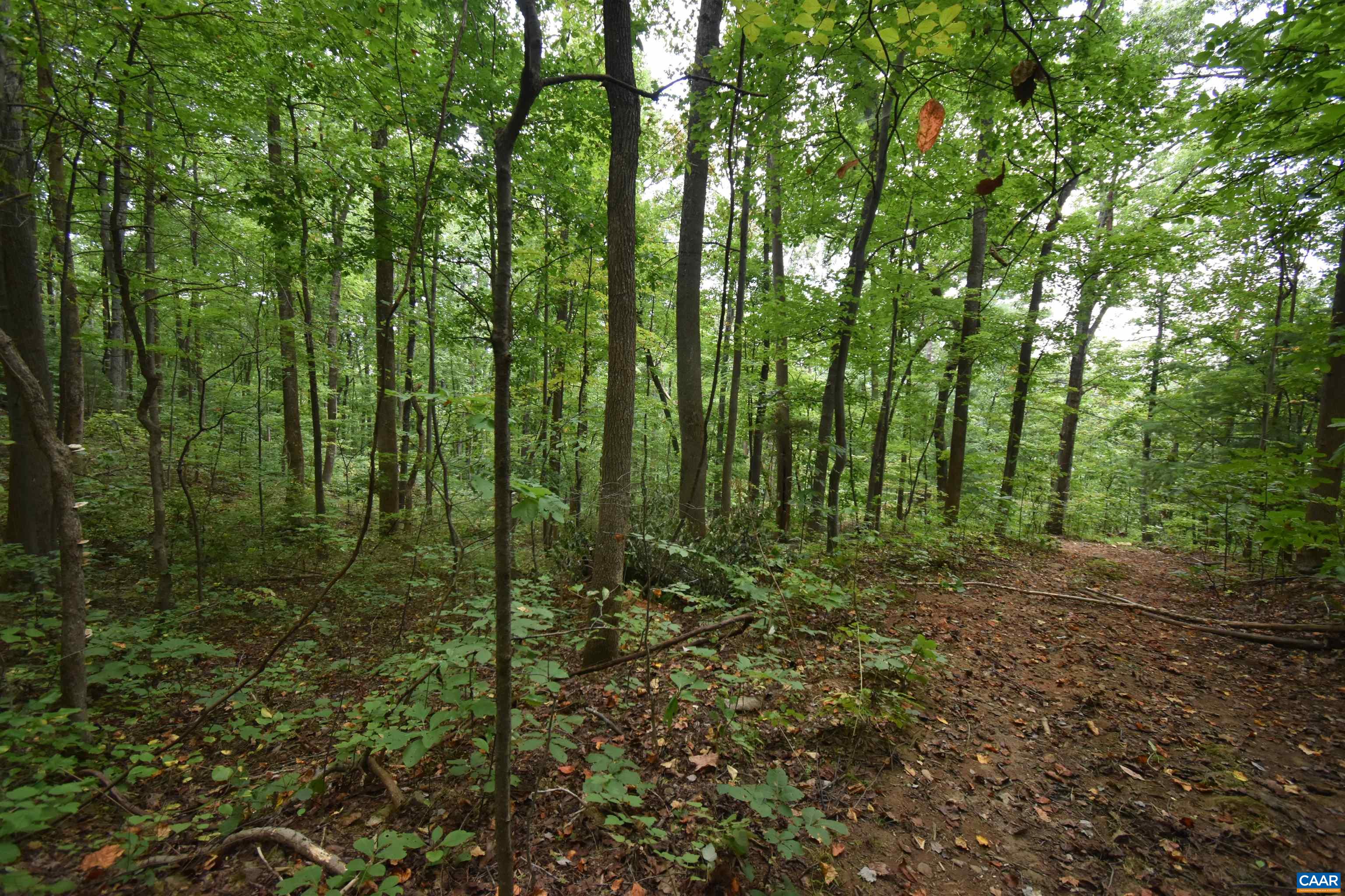 12 OLD MOUNTAIN RD