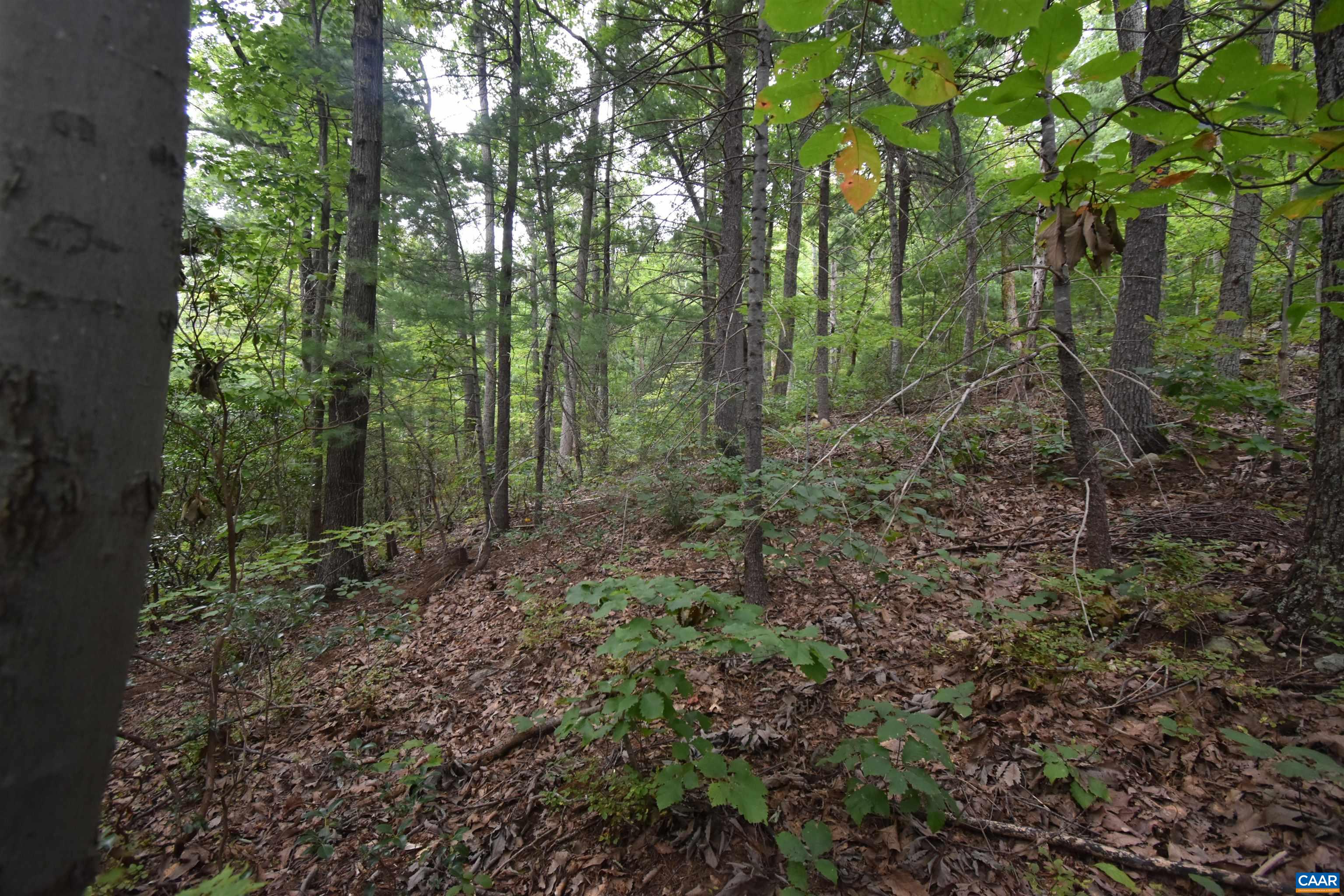 12 OLD MOUNTAIN RD