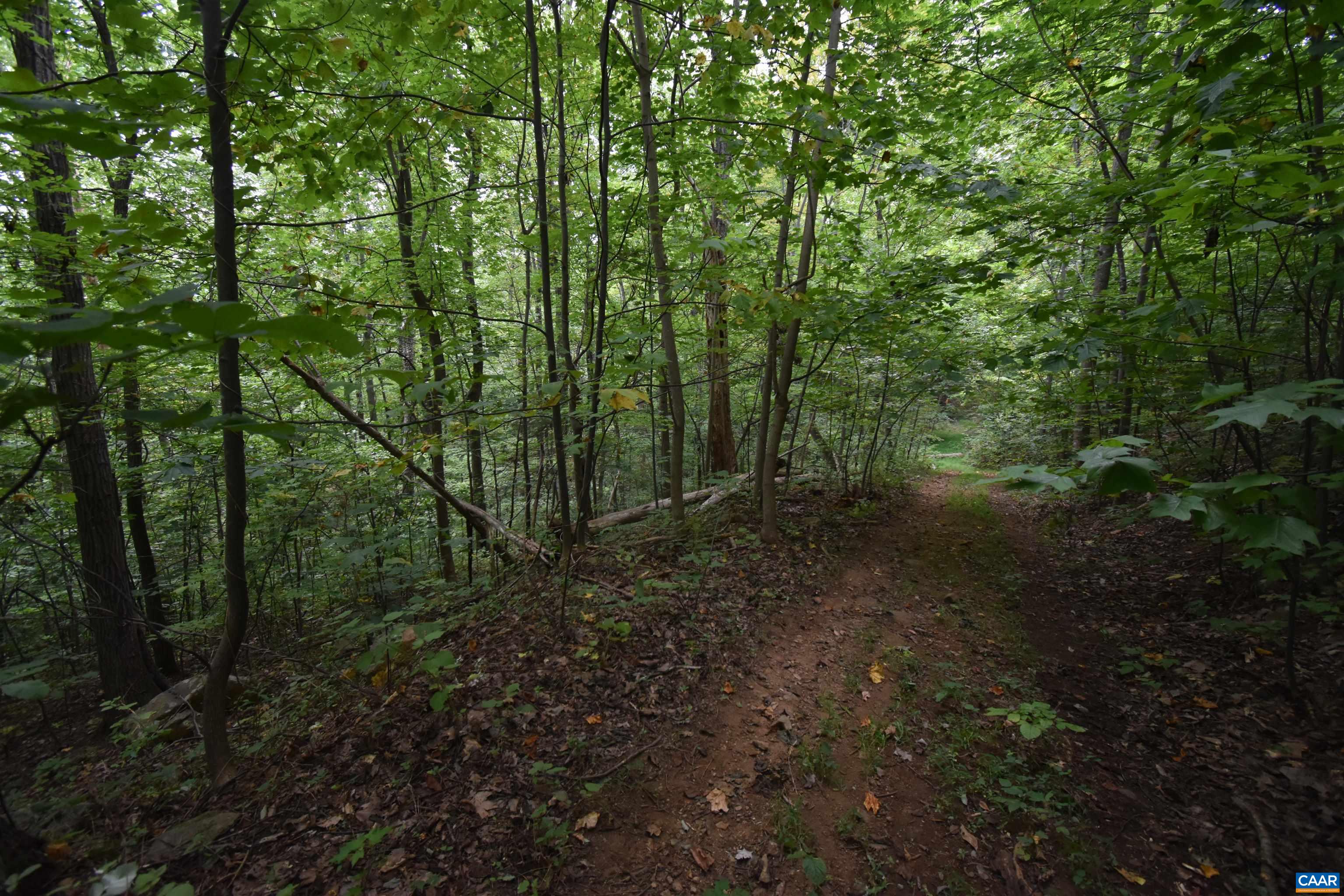 12 OLD MOUNTAIN RD