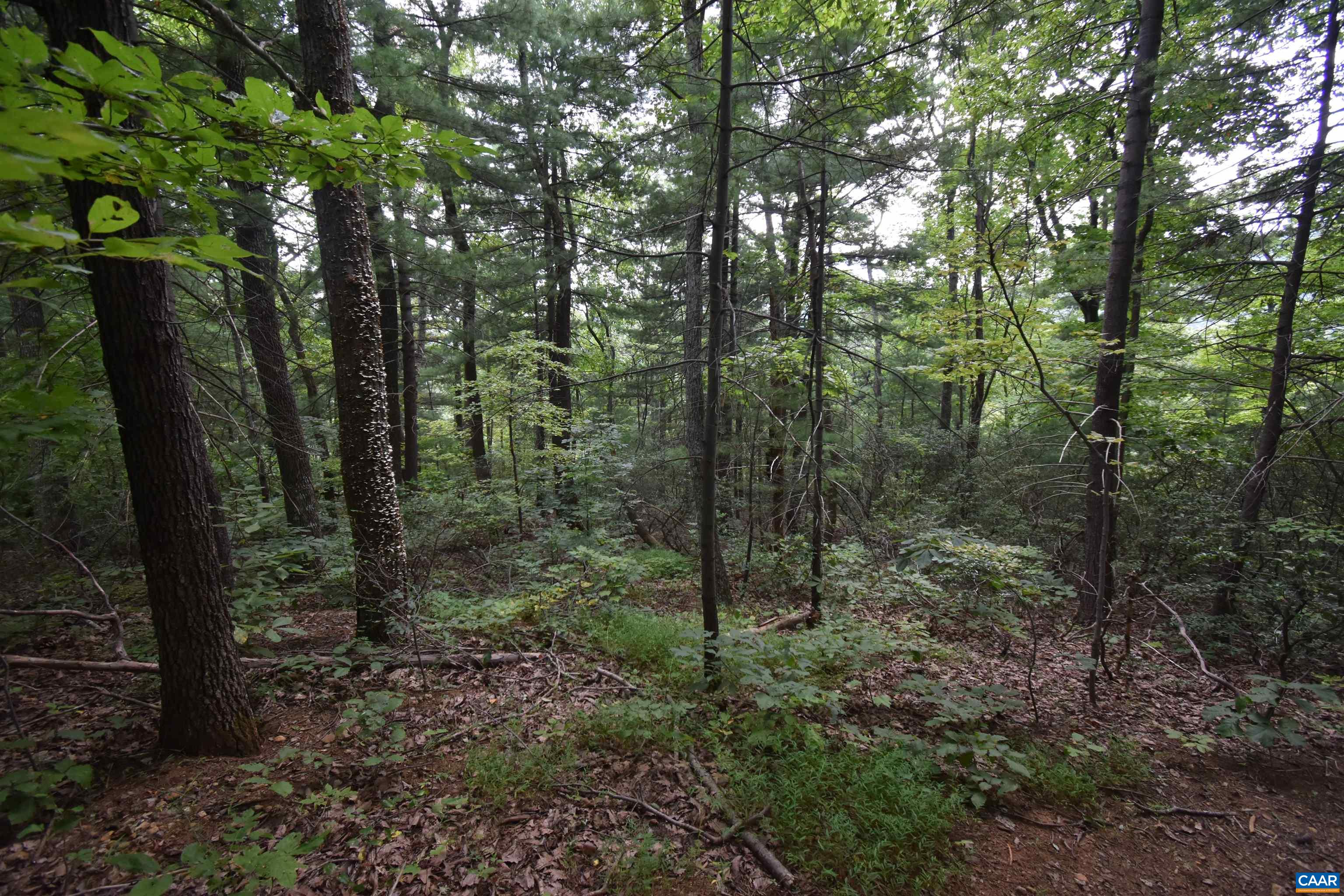 12 OLD MOUNTAIN RD