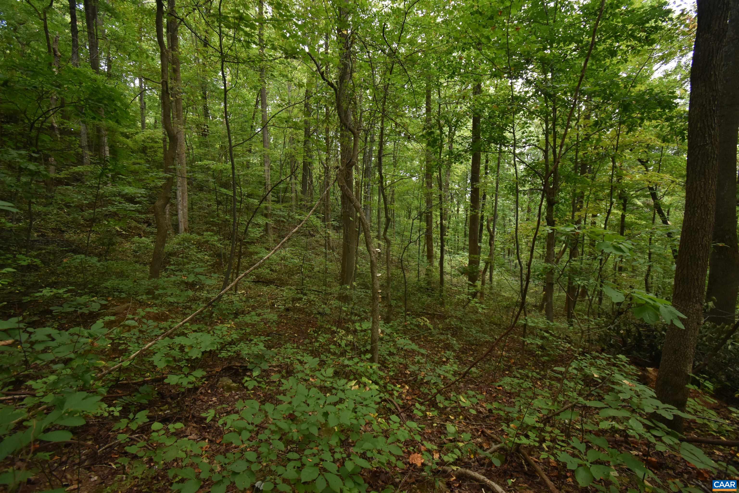 12 OLD MOUNTAIN RD