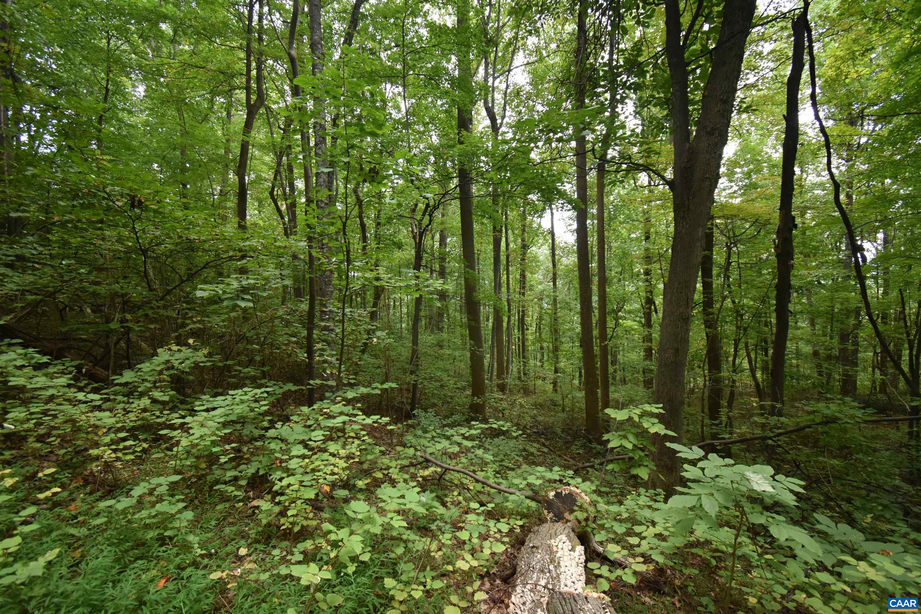 12 OLD MOUNTAIN RD