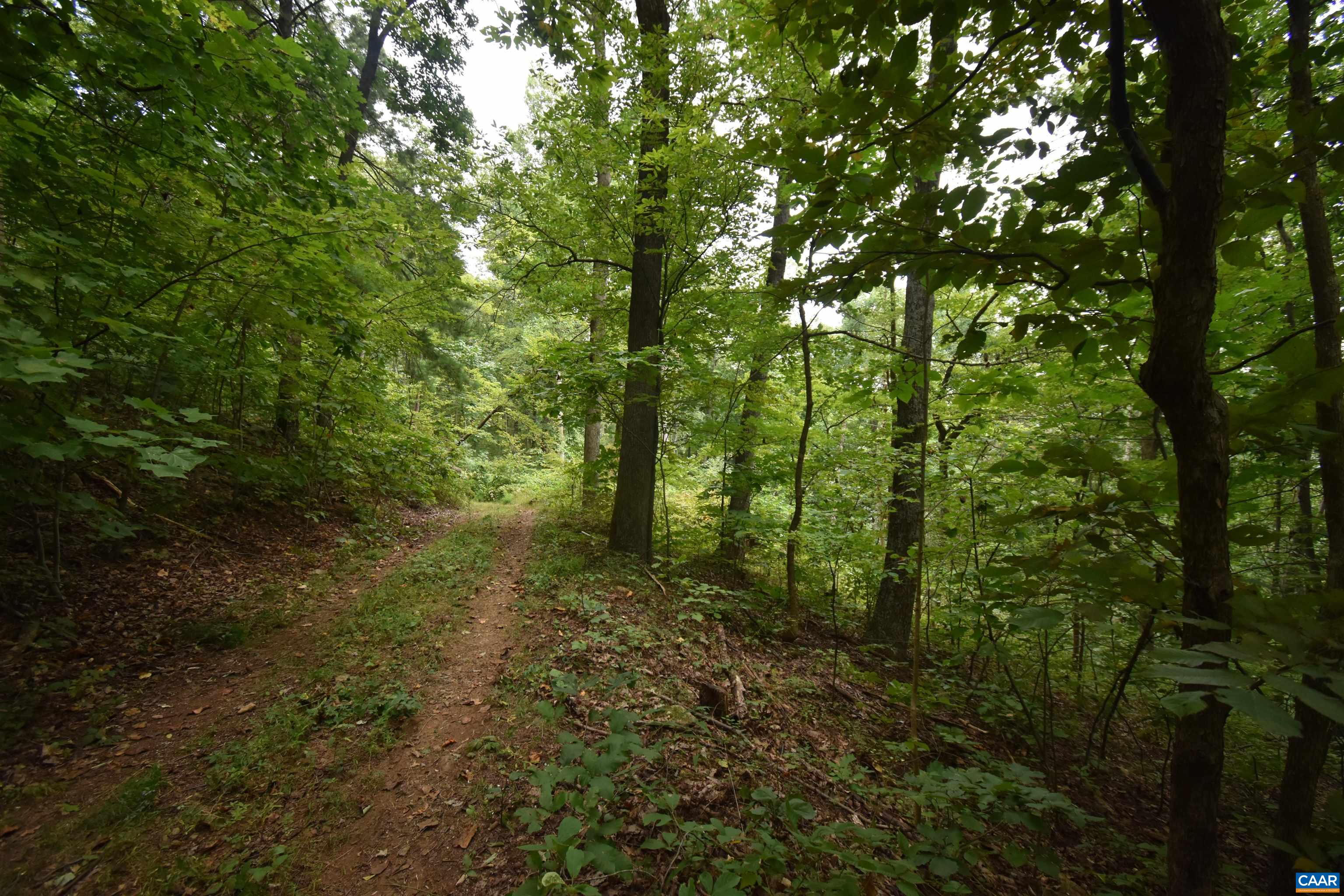 12 OLD MOUNTAIN RD