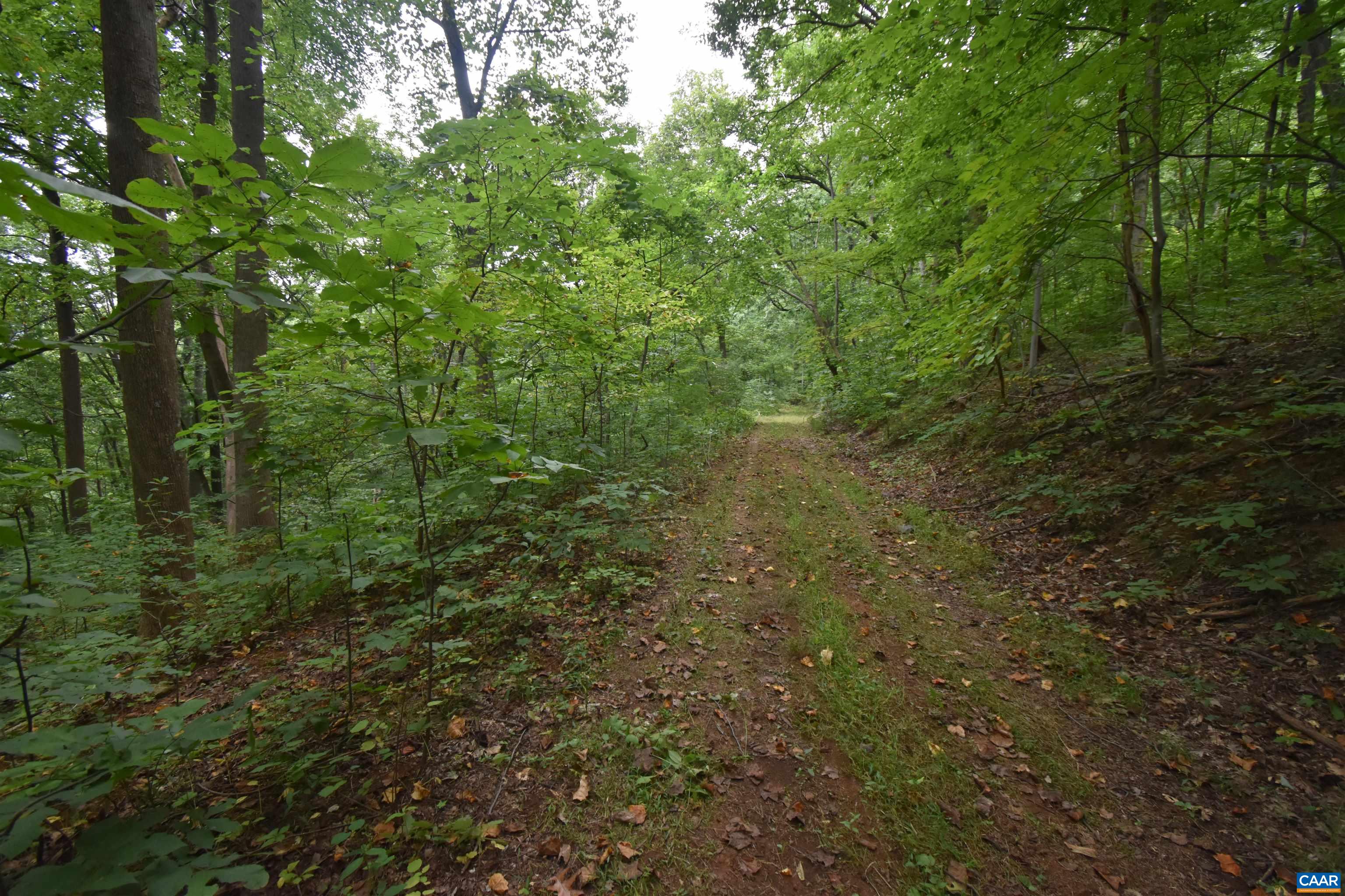 12 OLD MOUNTAIN RD