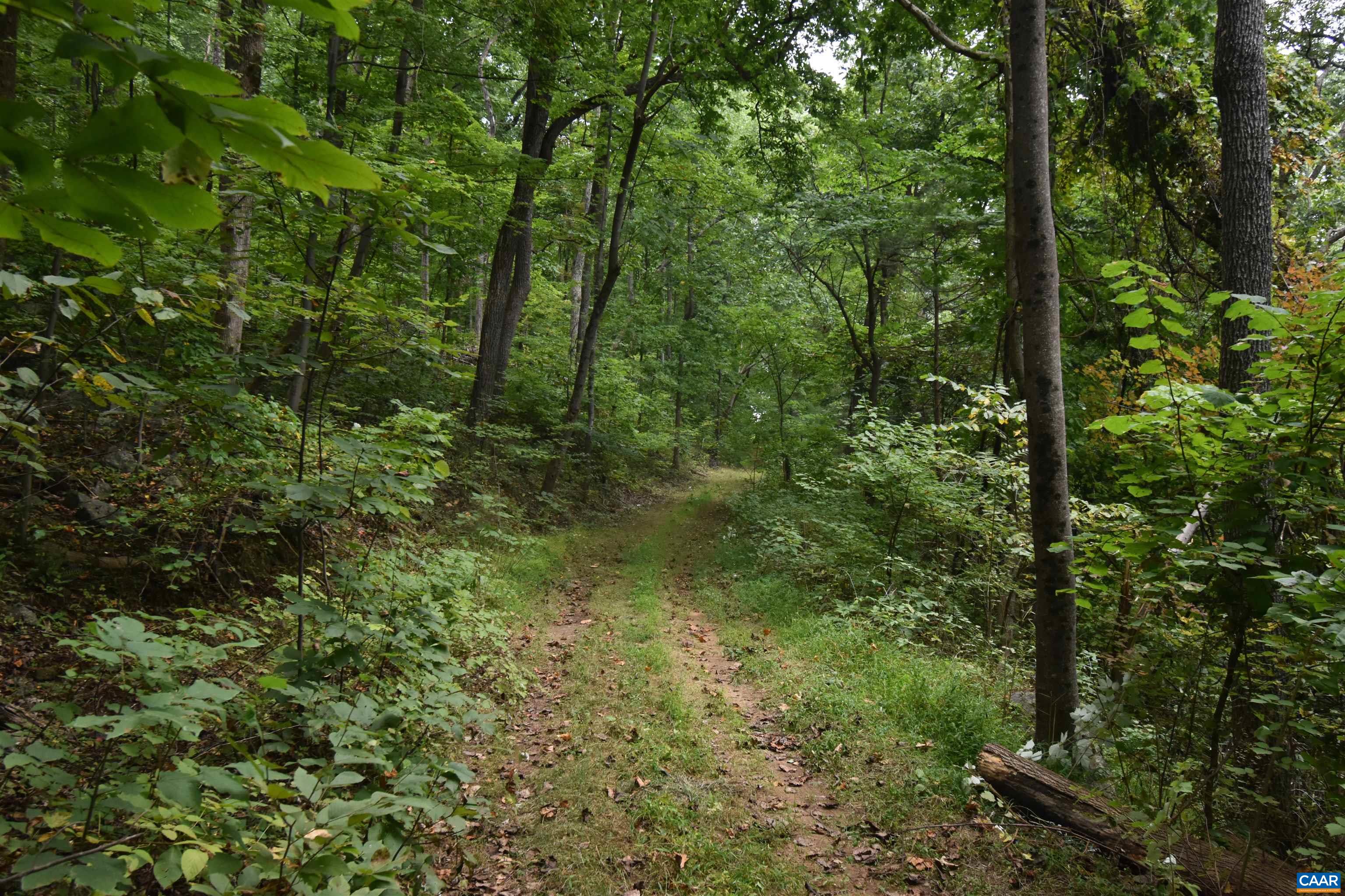 12 OLD MOUNTAIN RD