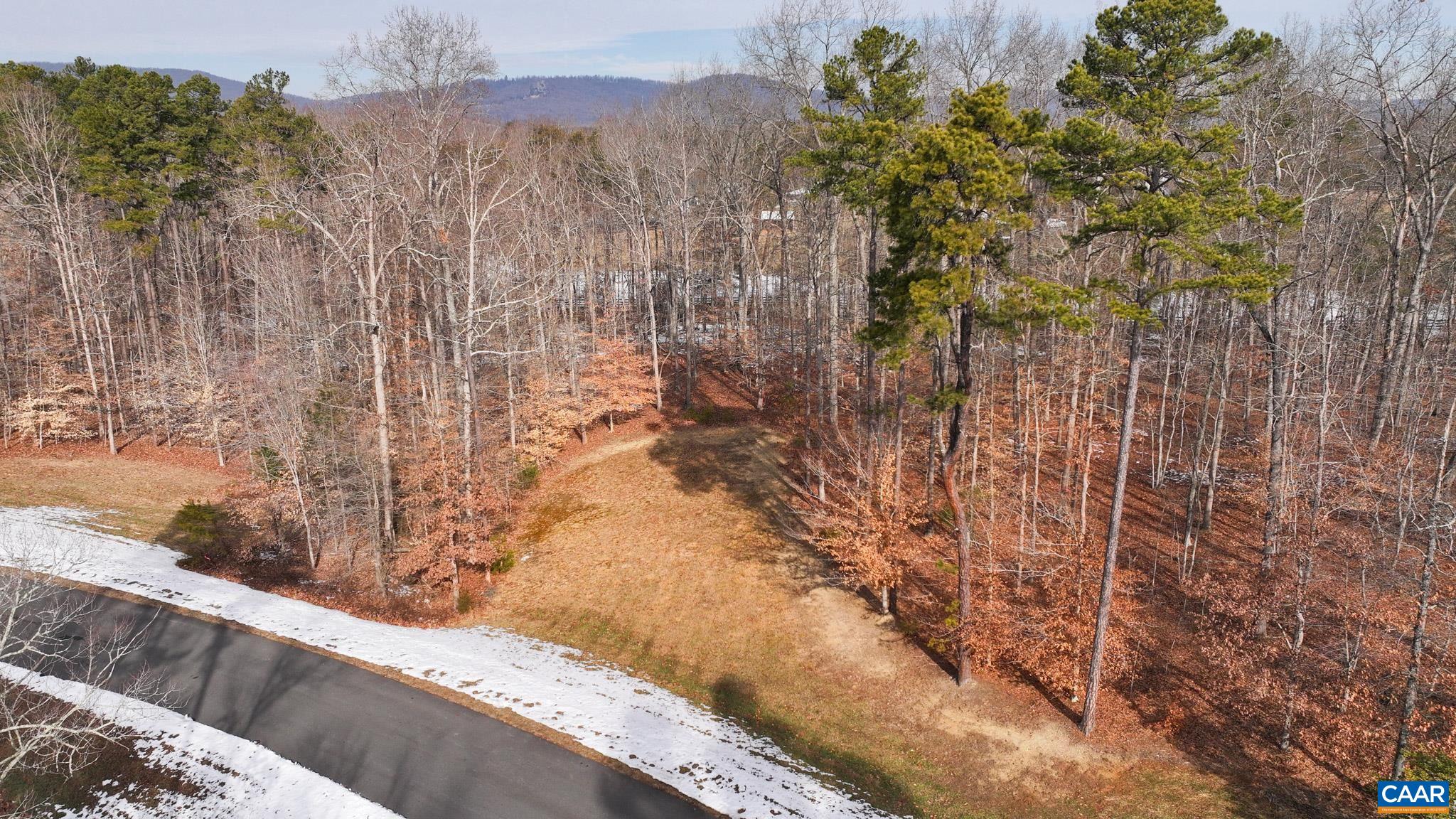 Lot 45 LN
