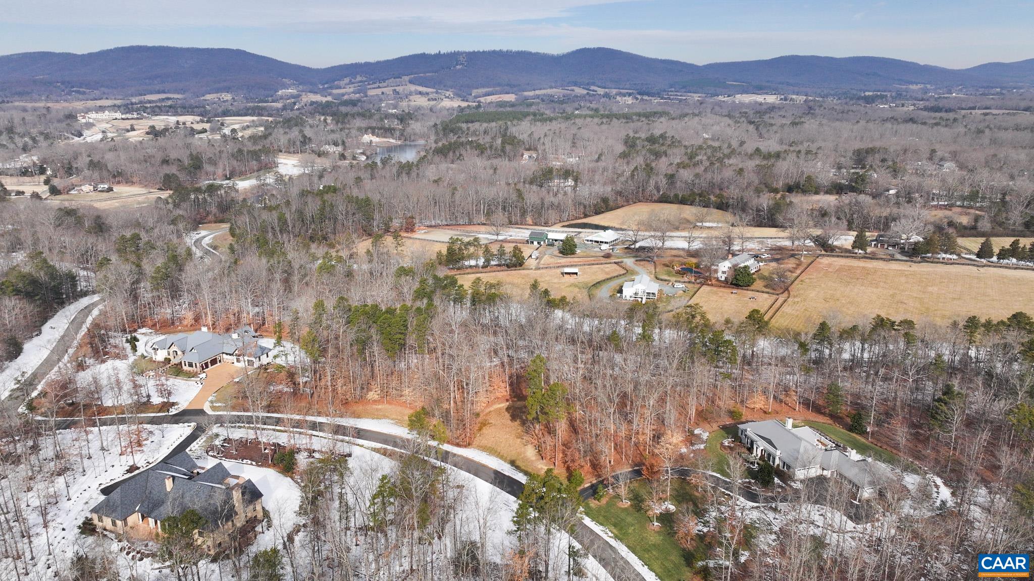 Lot 45 LN