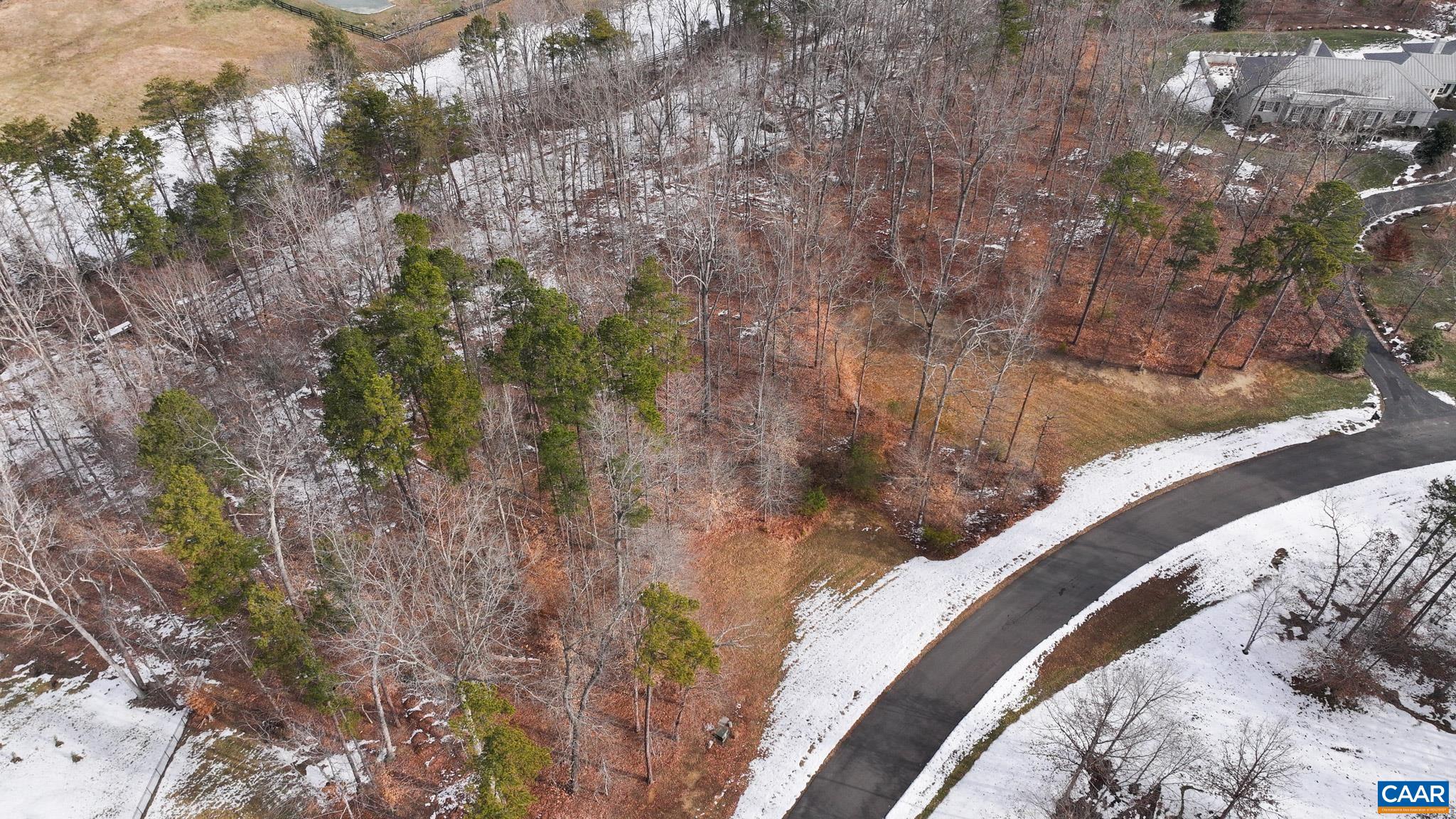 Lot 45 LN