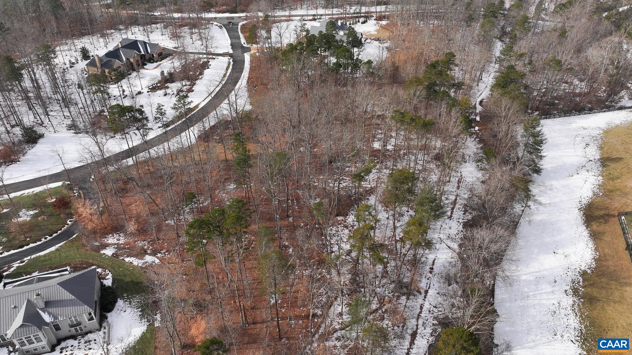 Lot 45 LN