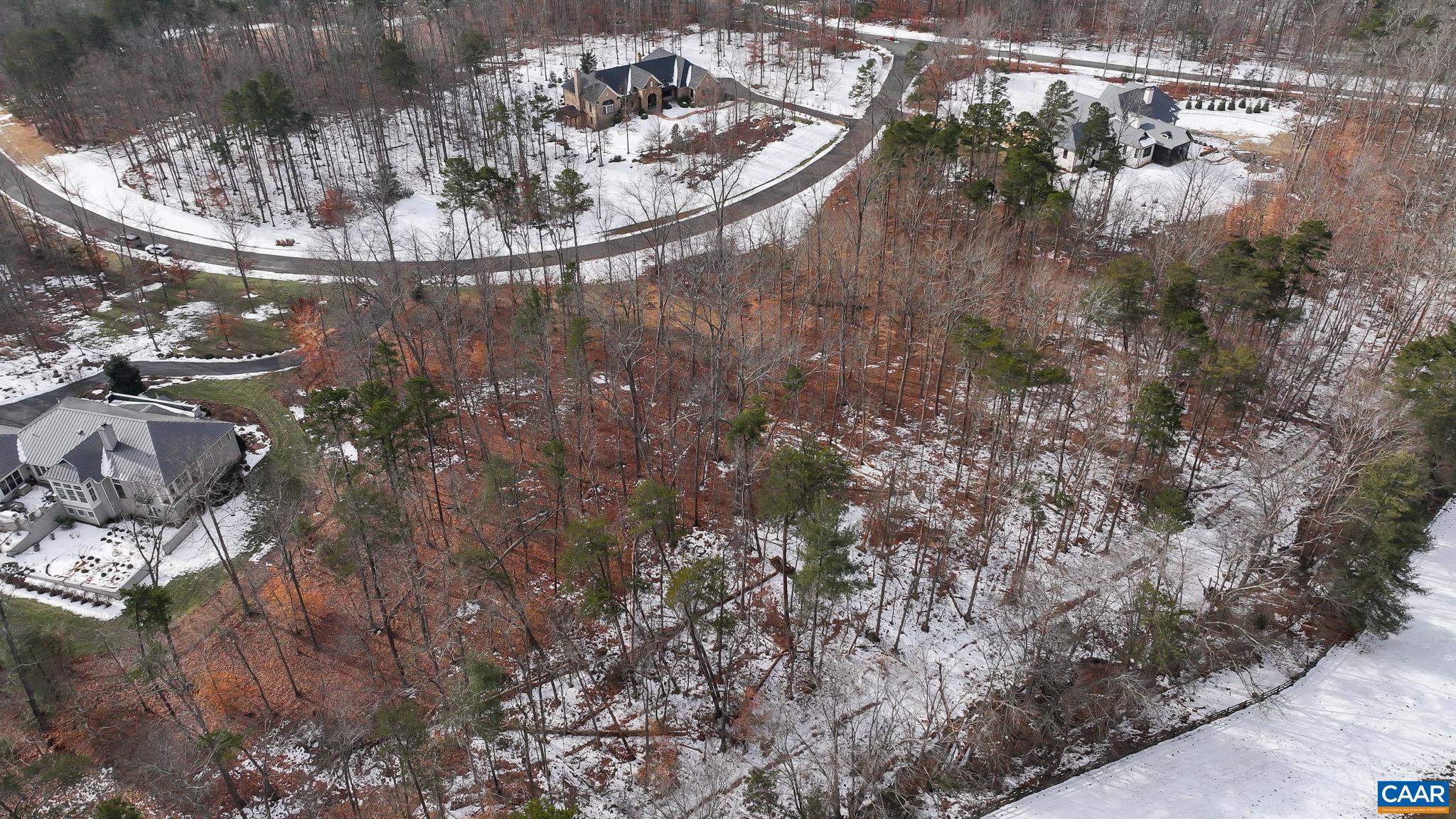 Lot 45 LN