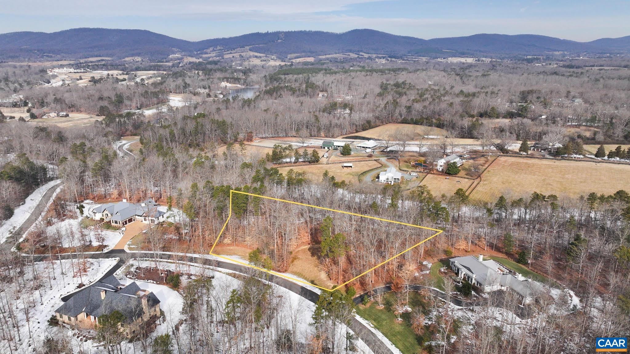 Lot 45 LN