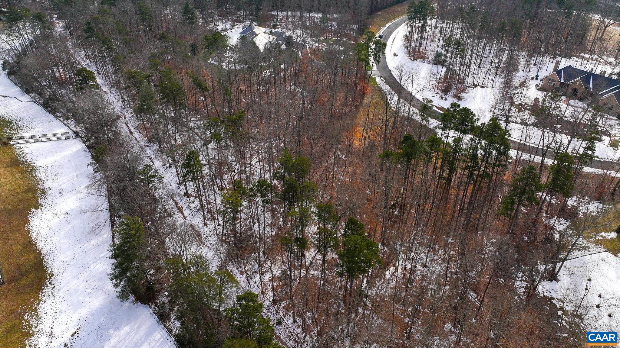Lot 45 LN