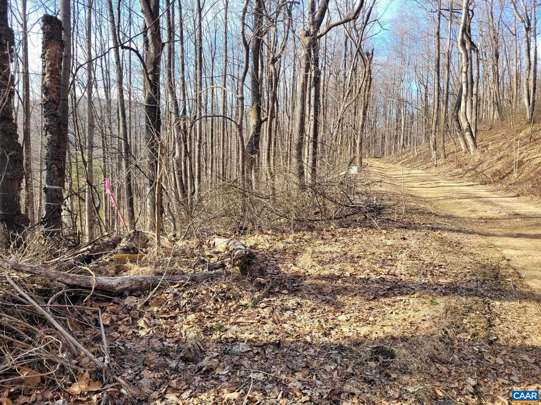 lot 15 WINDY KNOLL LN