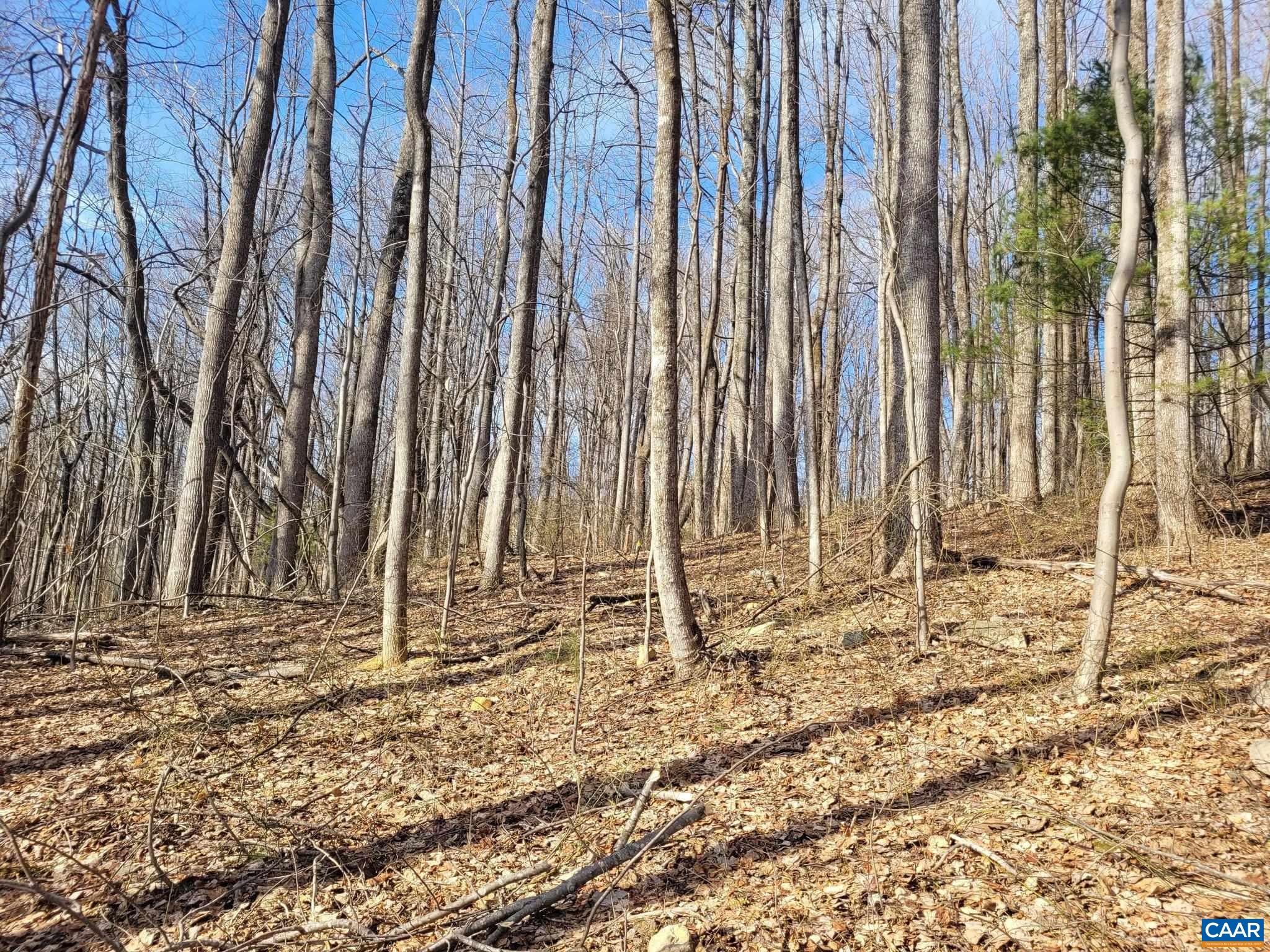 lot 15 WINDY KNOLL LN