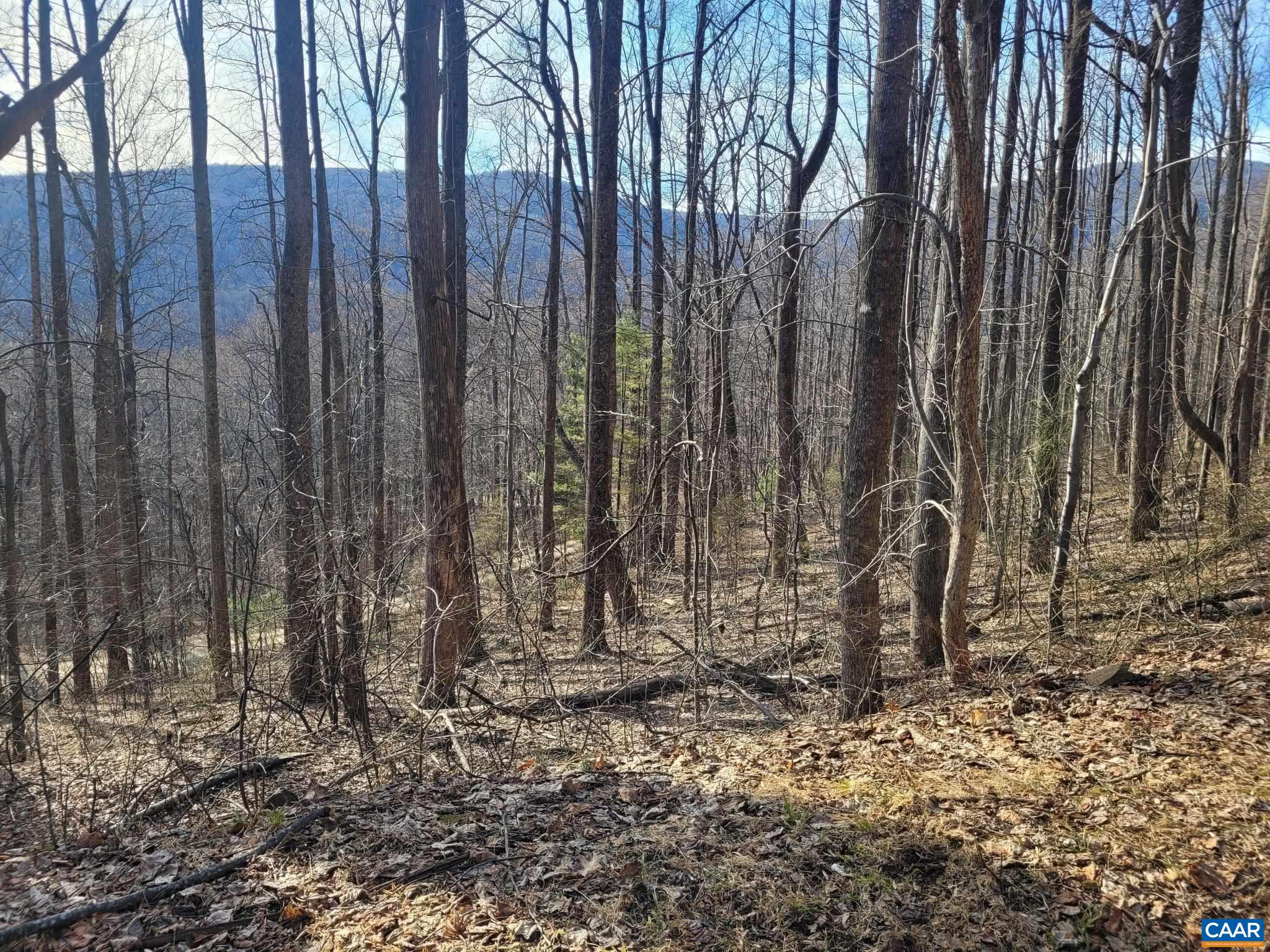 lot 15 WINDY KNOLL LN