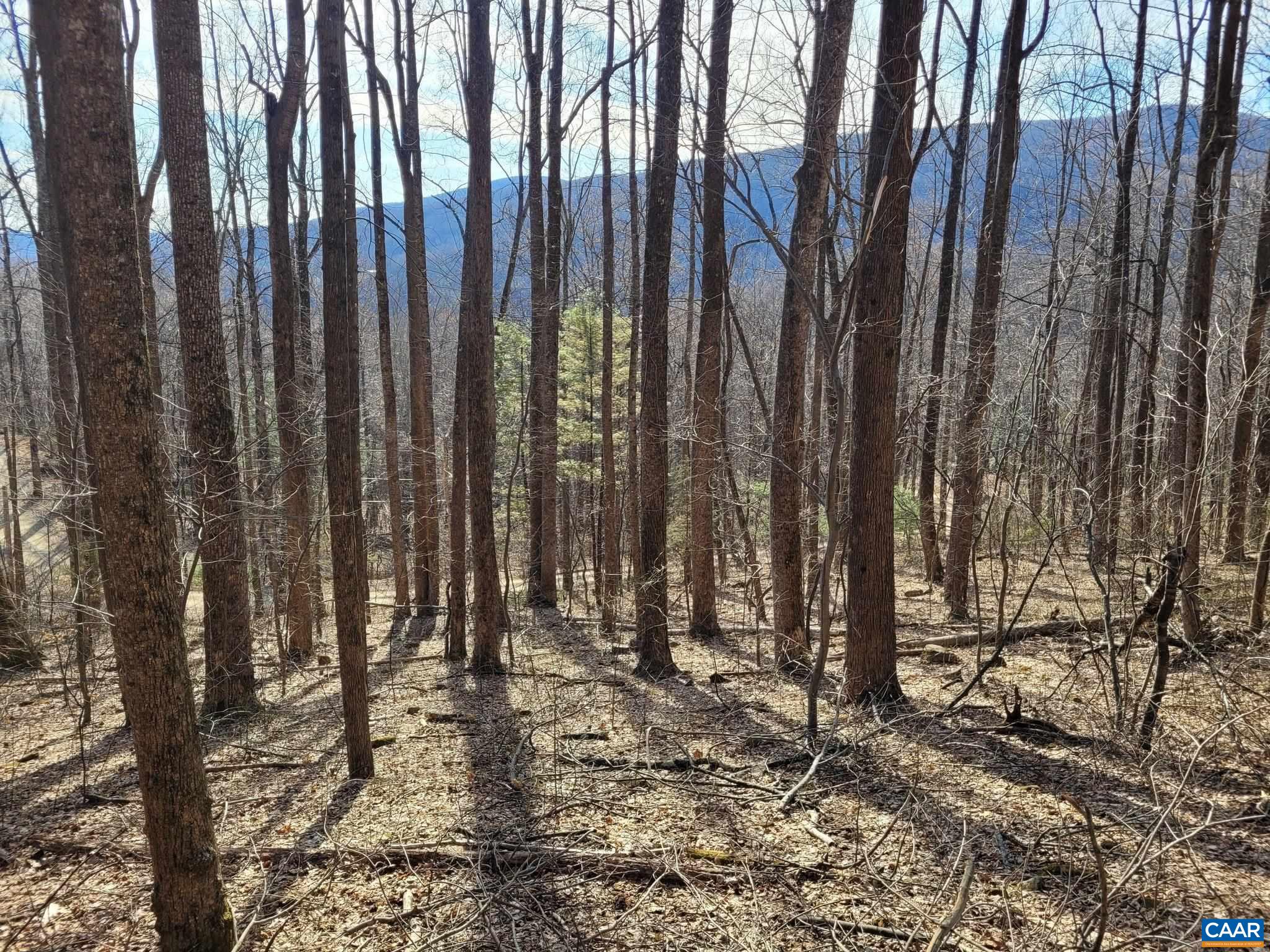 lot 15 WINDY KNOLL LN