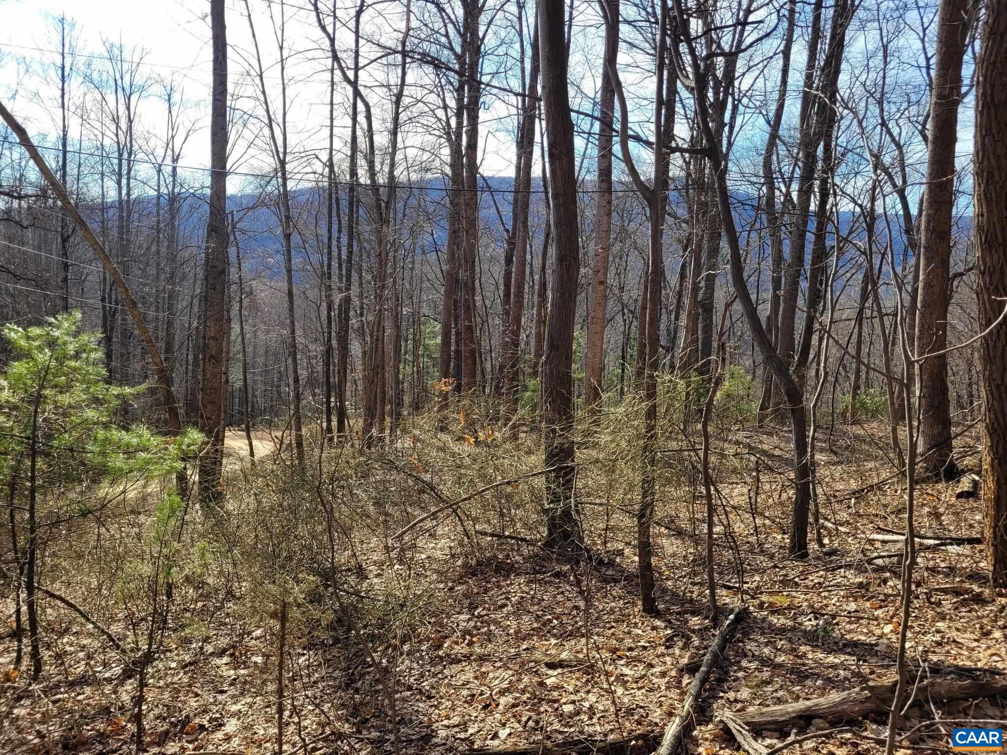 lot 15 WINDY KNOLL LN