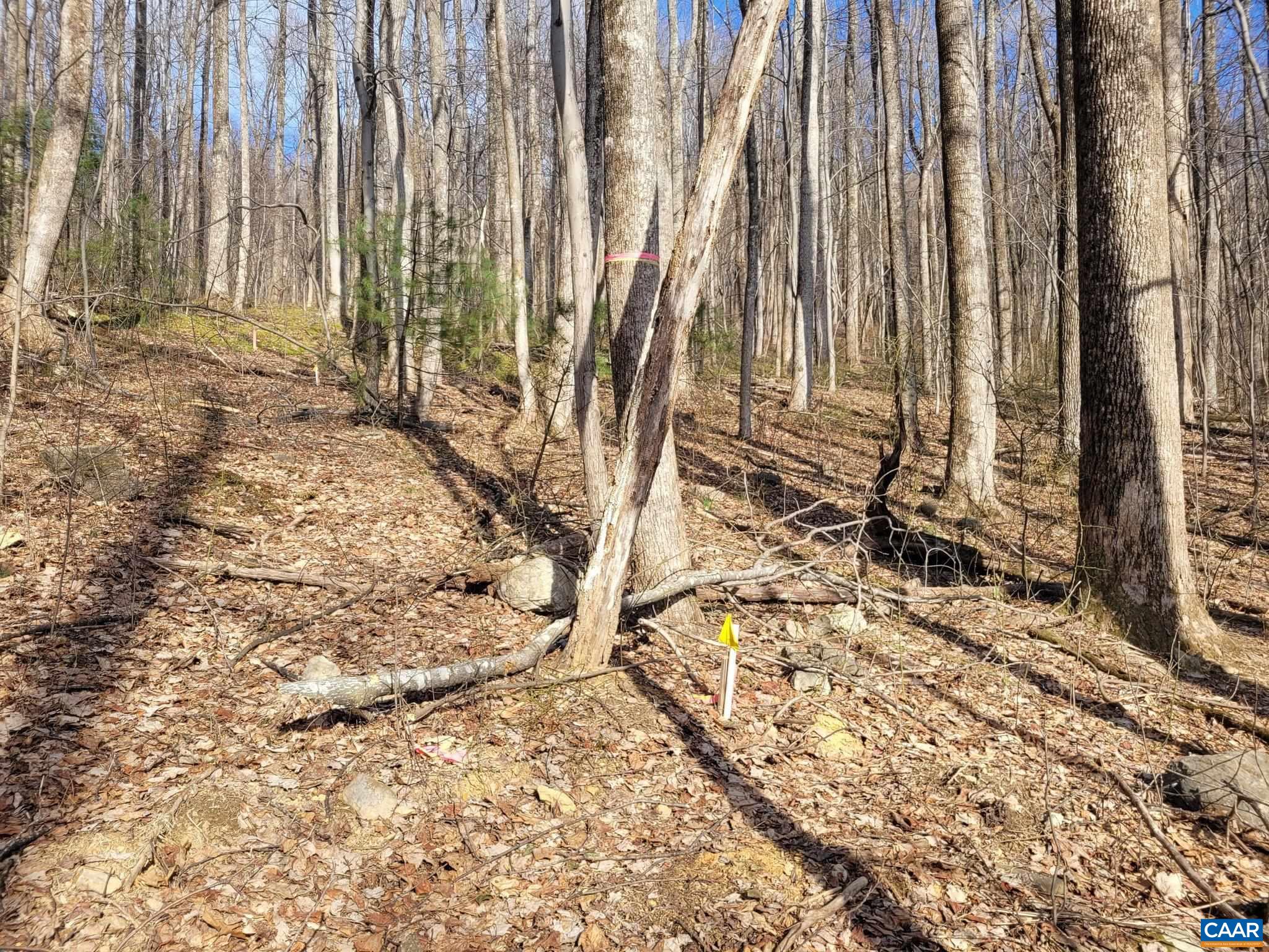 lot 15 WINDY KNOLL LN