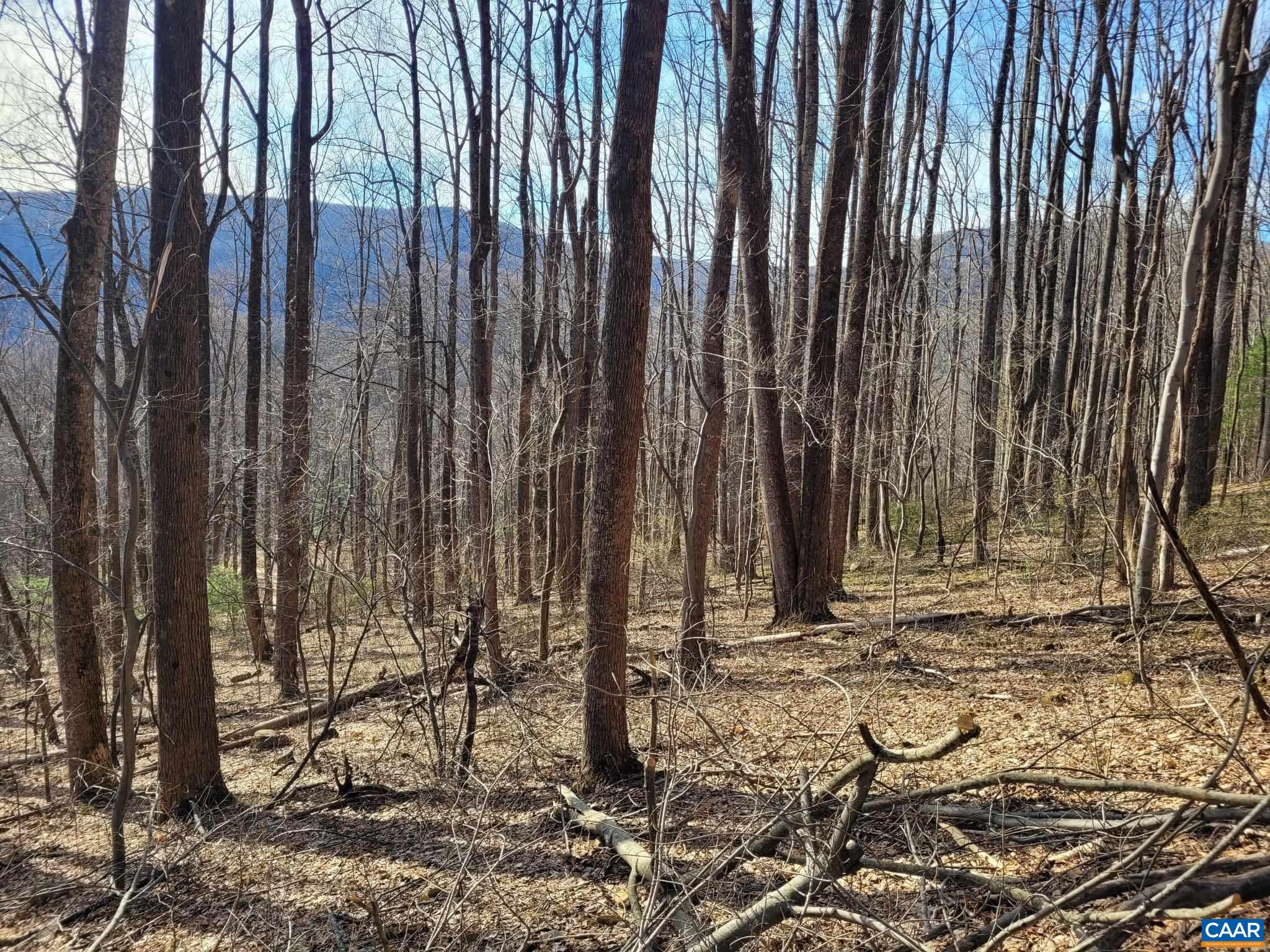 lot 15 WINDY KNOLL LN