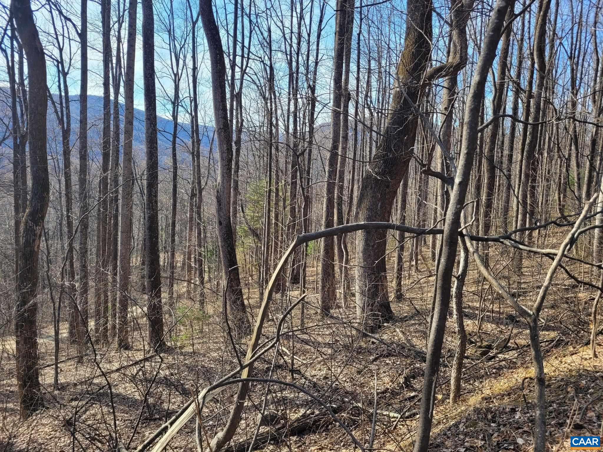 lot 15 WINDY KNOLL LN