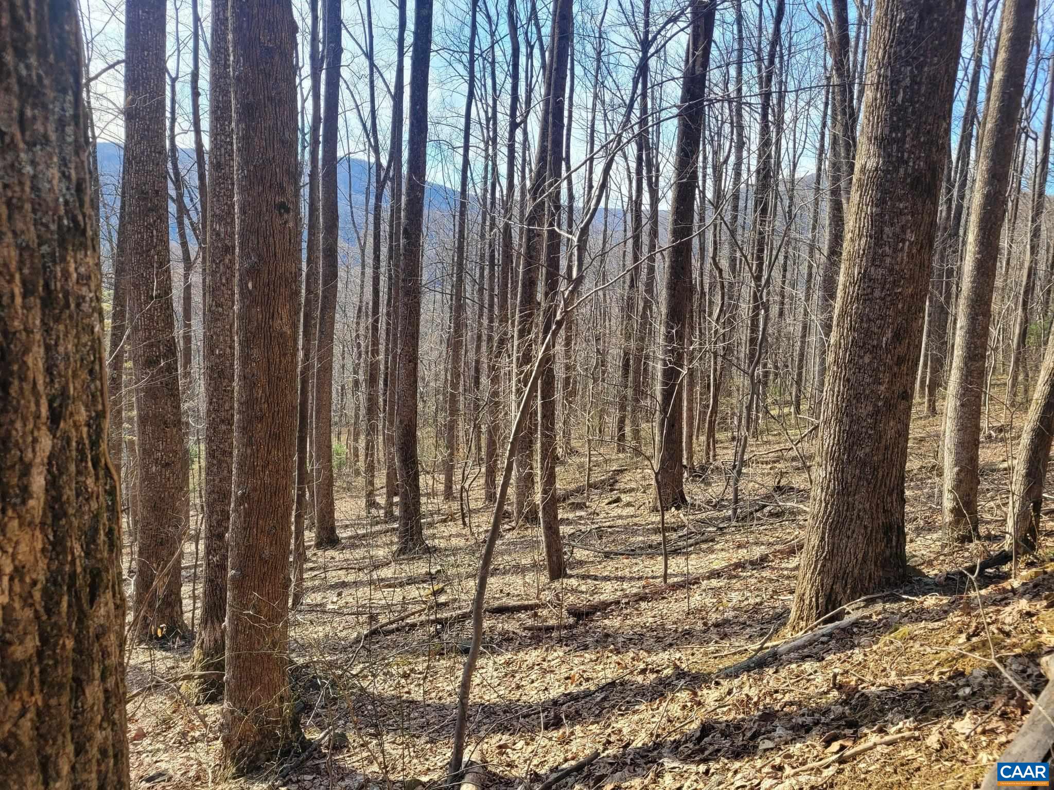 lot 15 WINDY KNOLL LN